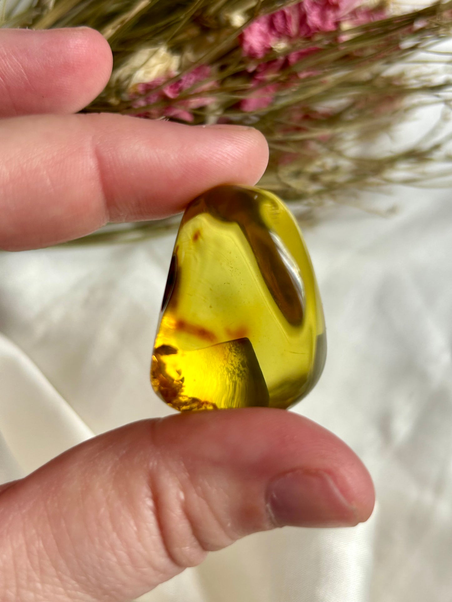 Colombian Amber