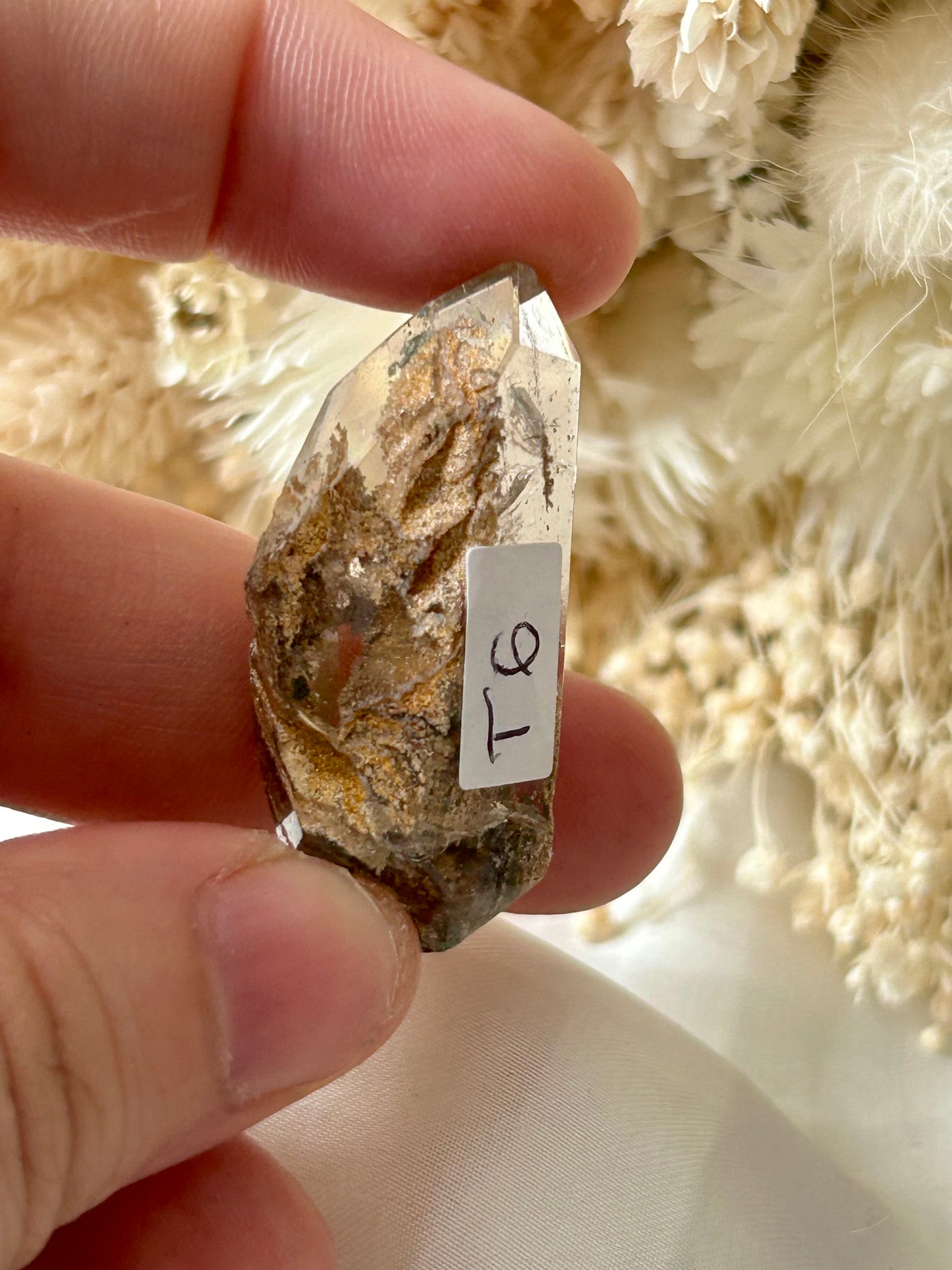 Lodolite Garden Quartz Freeform | Earth-Inspired Clarity and Inner Vision