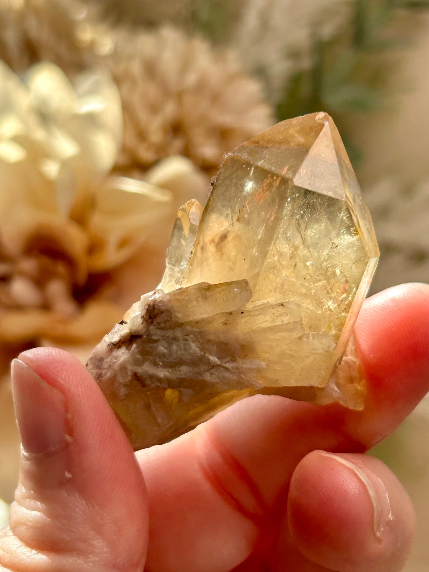 Kundalini Citrine crystal from the Democratic Republic of Congo displaying golden honey tones and unique crystal formations. Individual Citrine specimen suitable for crystal collectors and enthusiasts.