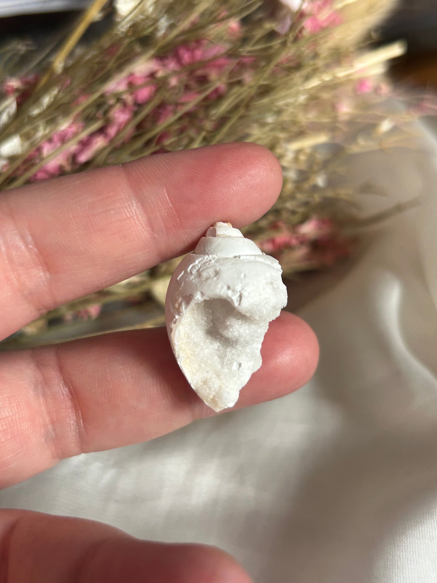 Spiralite