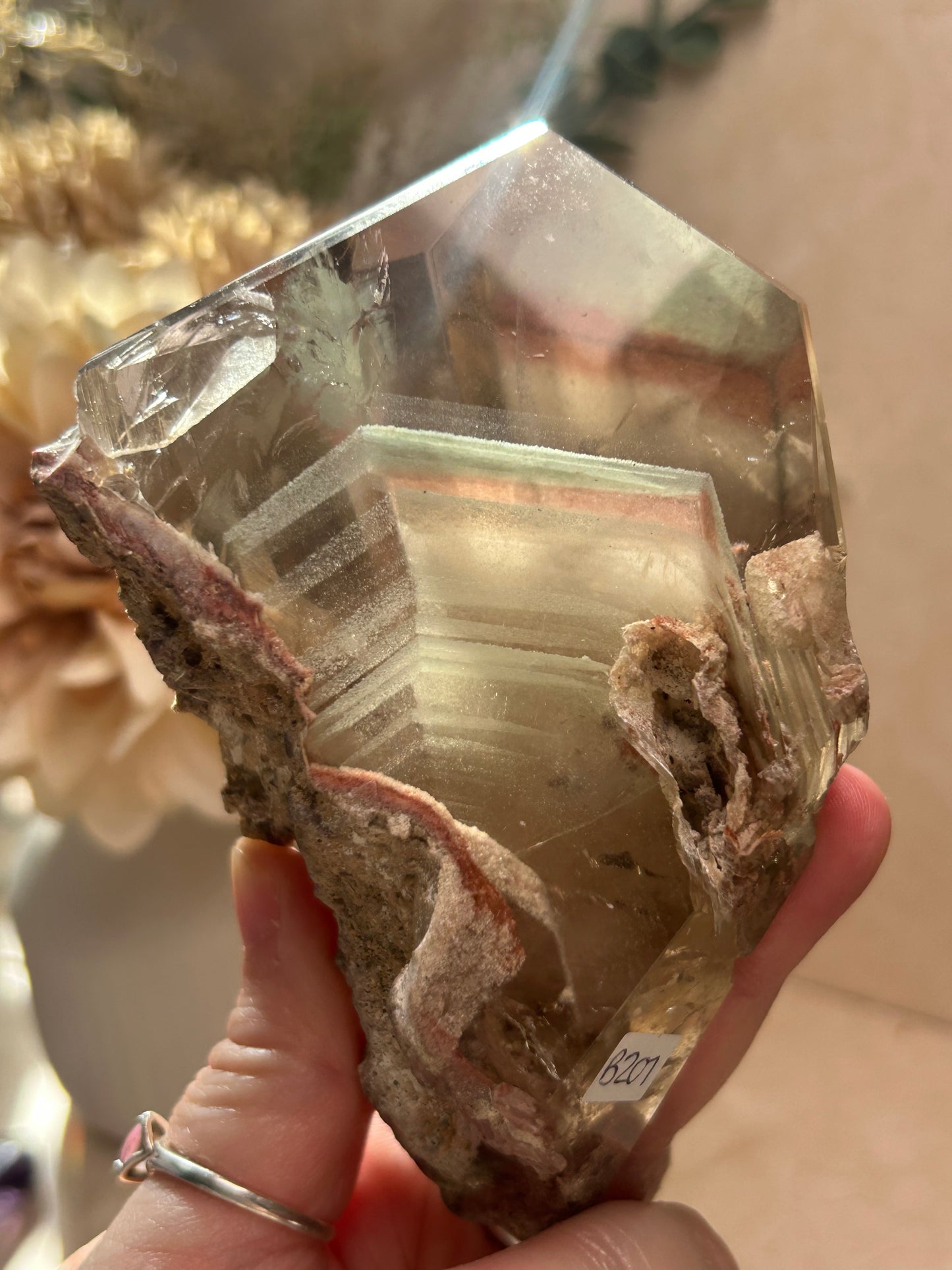 Listing for jessicat1x