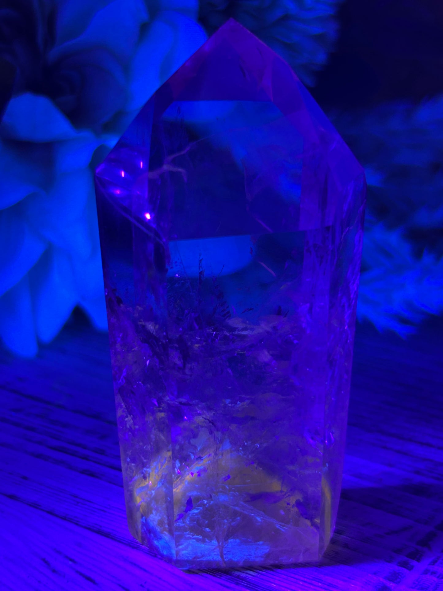 “Powellite” Amethyst | UV Reactive Growth, Spiritual Focus & Inner Illumination
