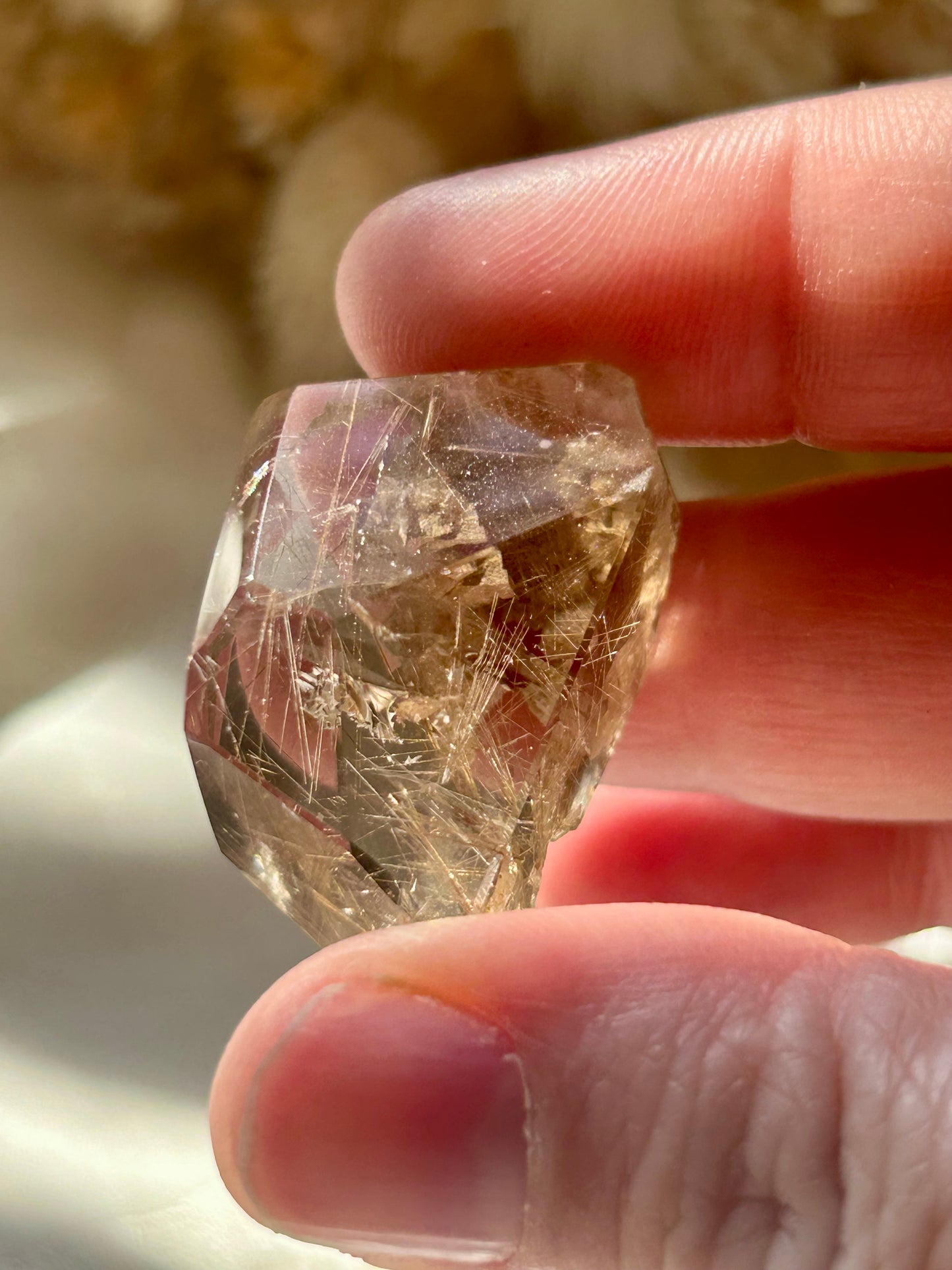 Semi polished Rutile freeform