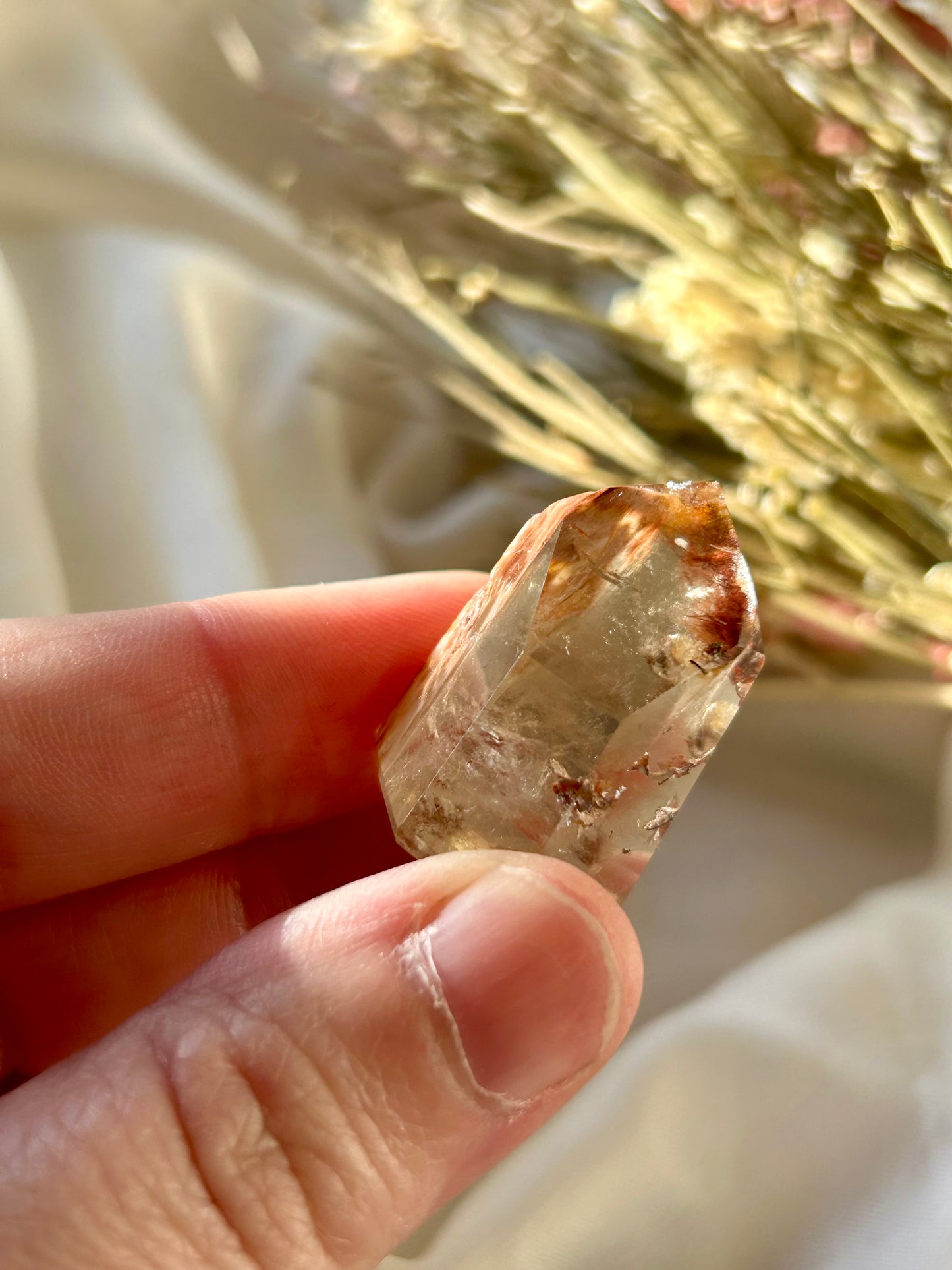 Mini Amphibole