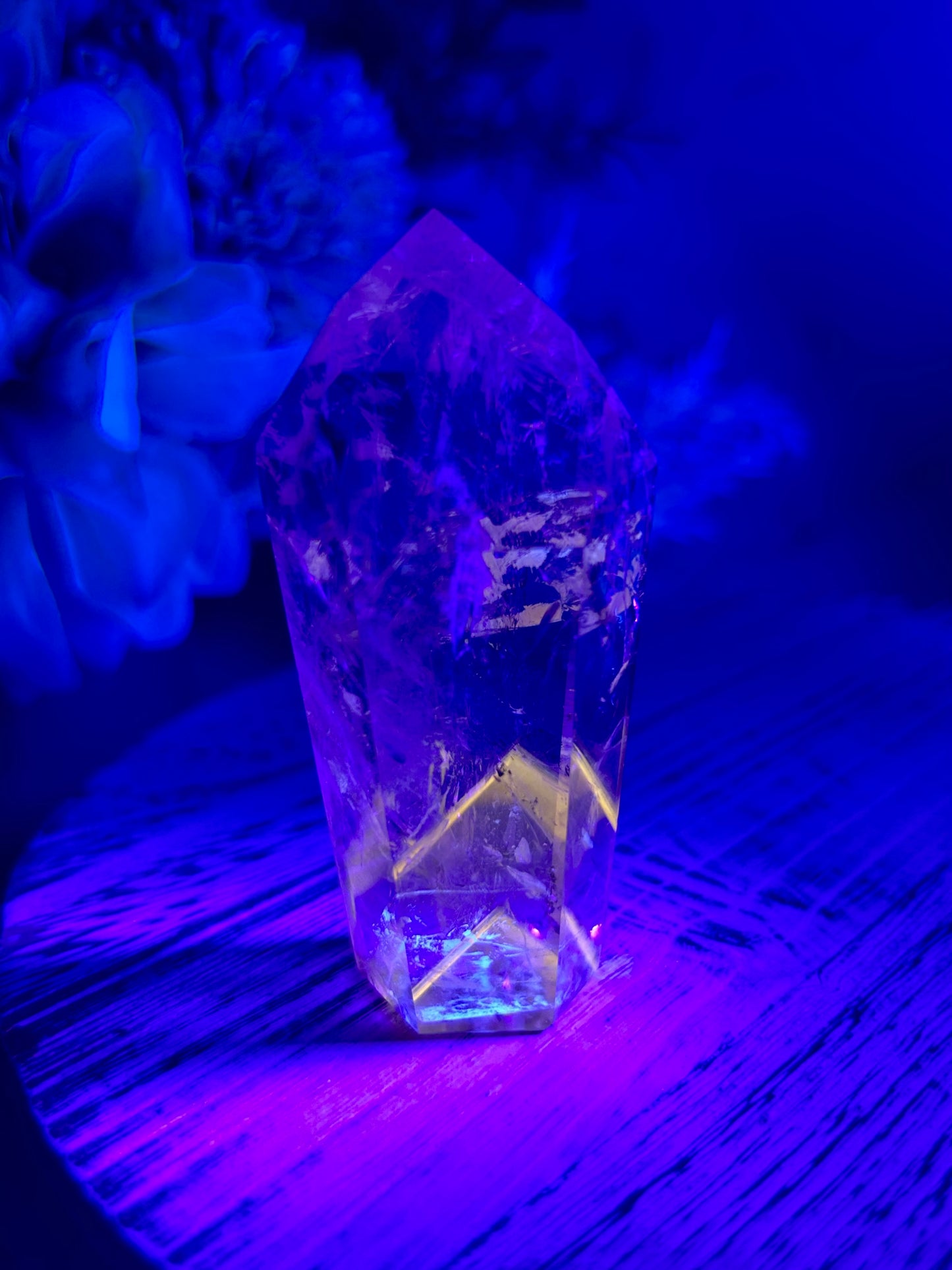 “Powellite” Amethyst | UV Reactive Growth, Spiritual Focus & Inner Illumination