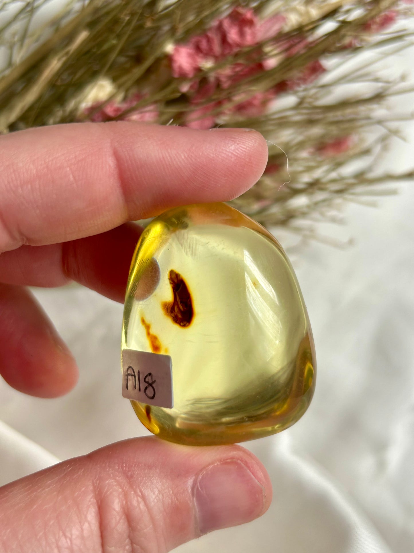 Colombian Amber