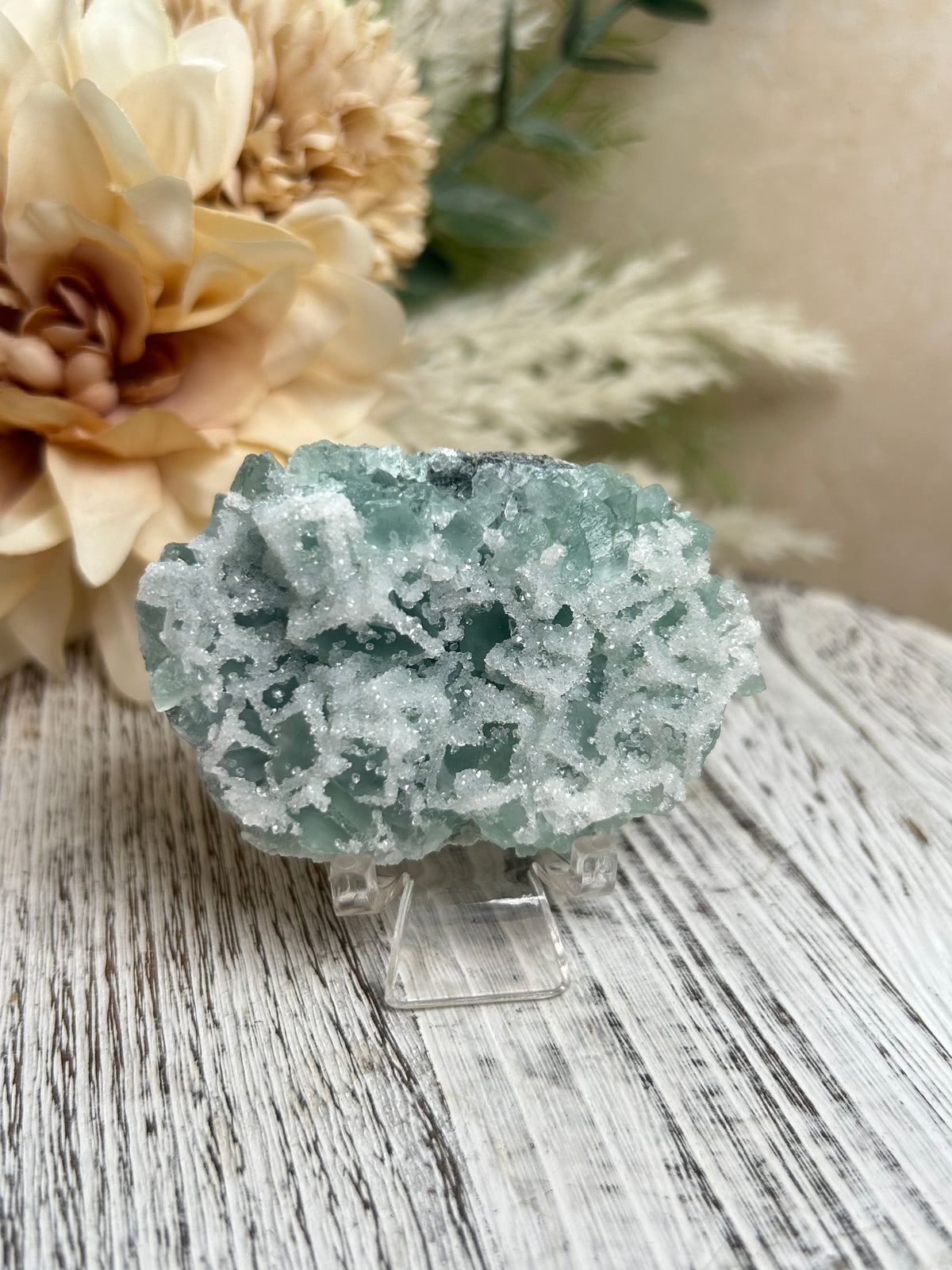 Listing for grogu.goddess