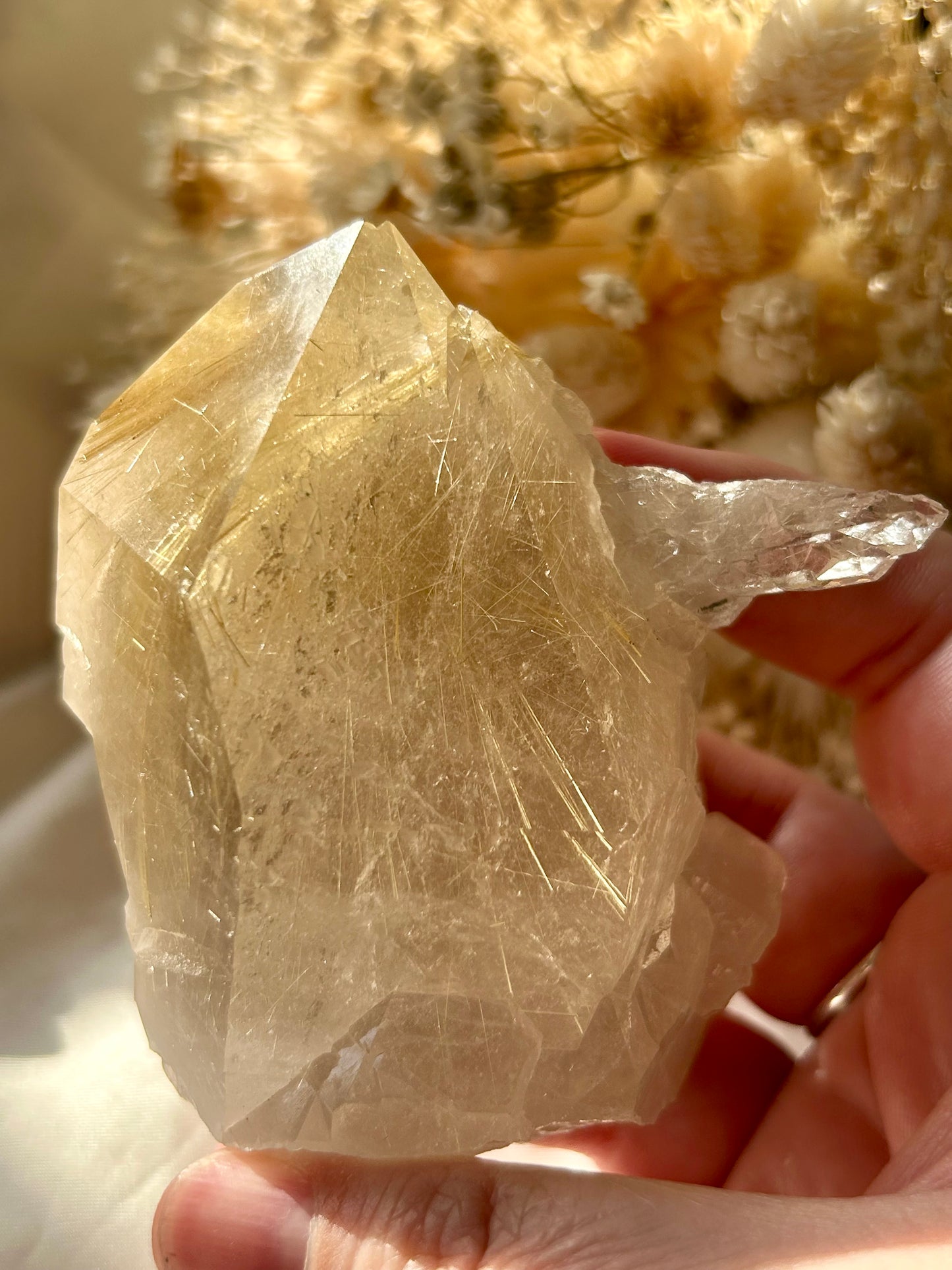 Handheld golden Rutilated Quartz point with dense rutile threads and high clarity, photographed in soft natural light