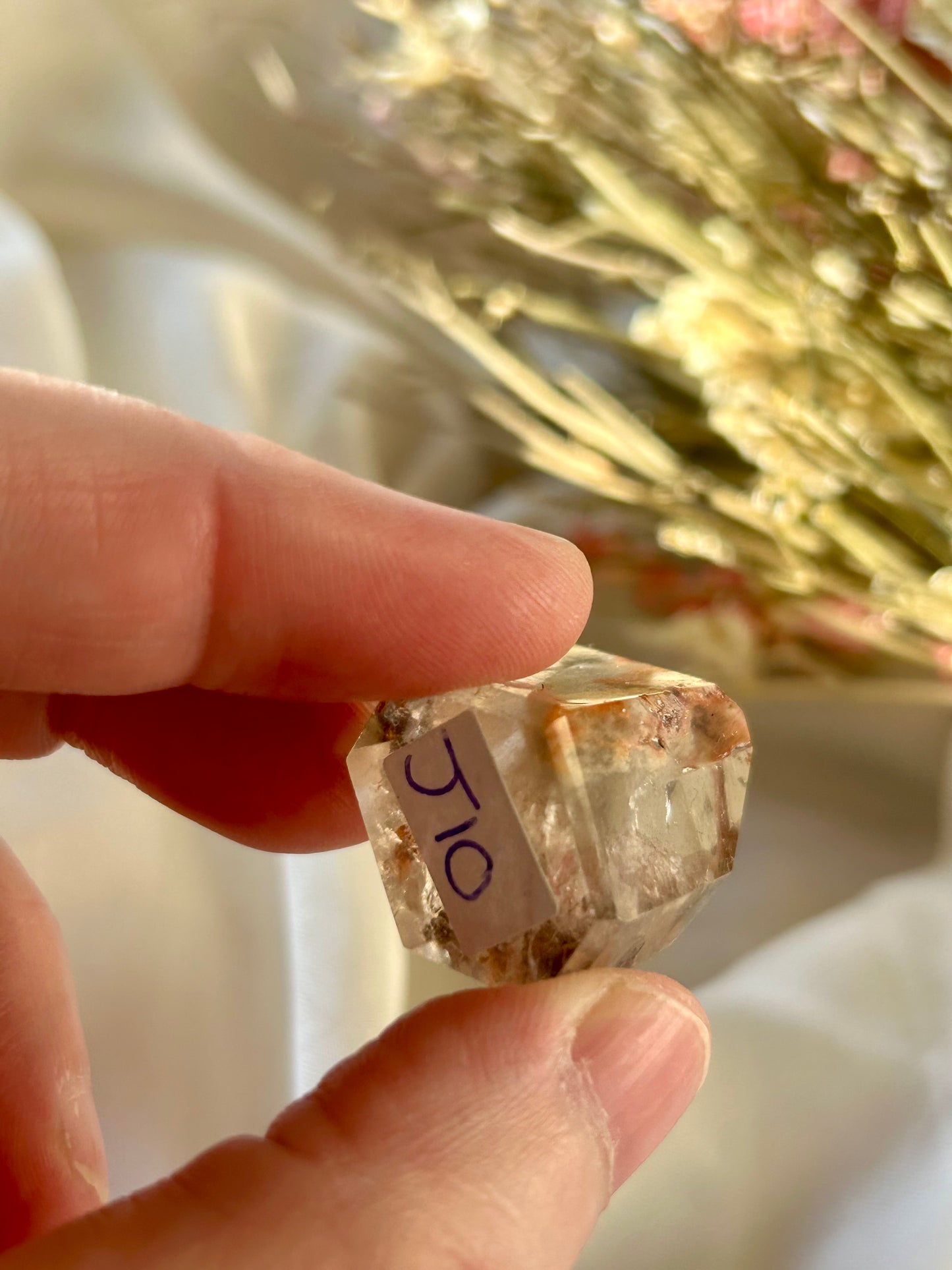 Mini Amphibole