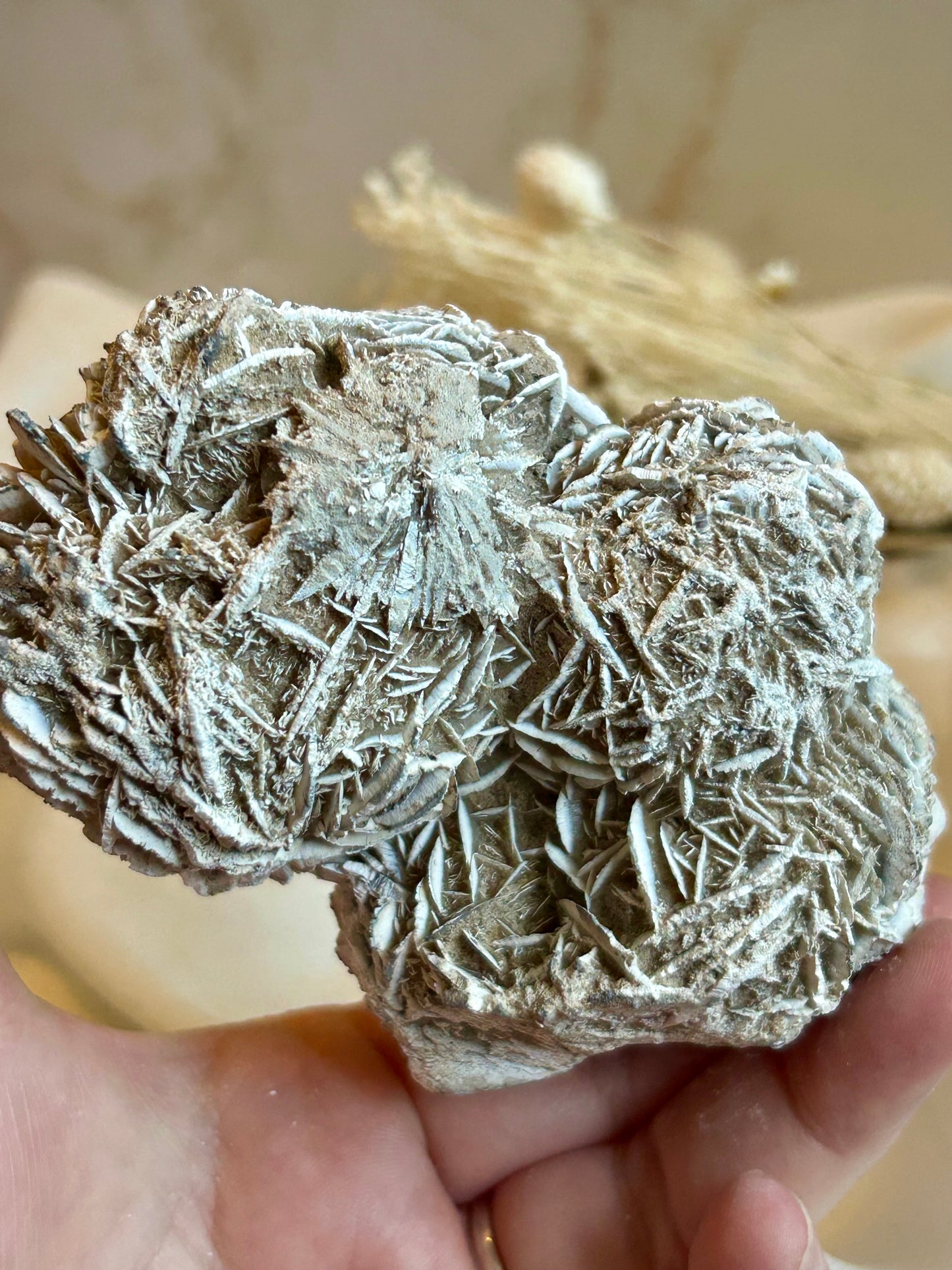 Desert Rose Crystal (Gypsum Rosette) – Natural Grounding & Clarity Stone