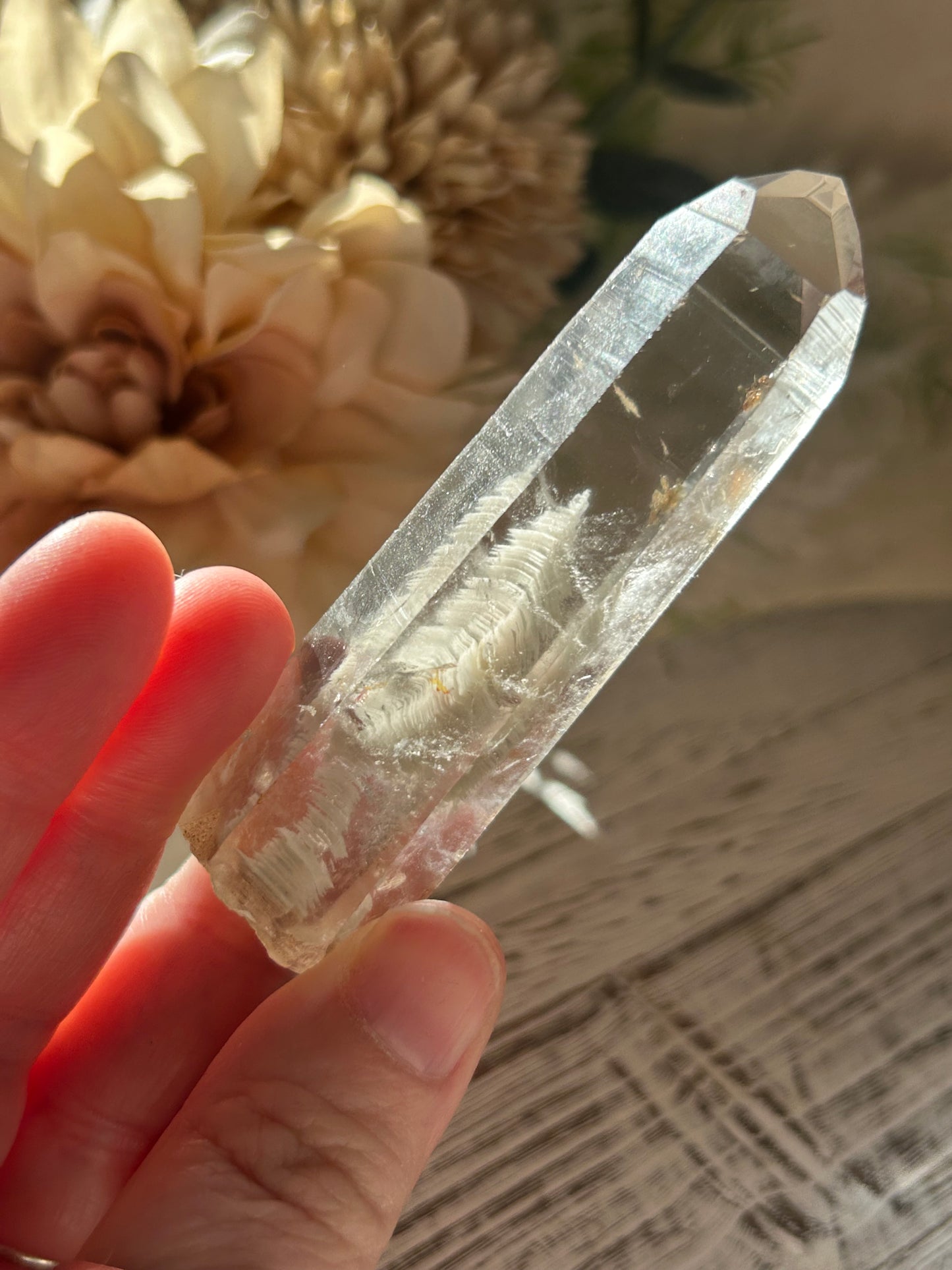 Phantom Lodolite Crystal | Garden Quartz with Inner Worlds | Semi Polished