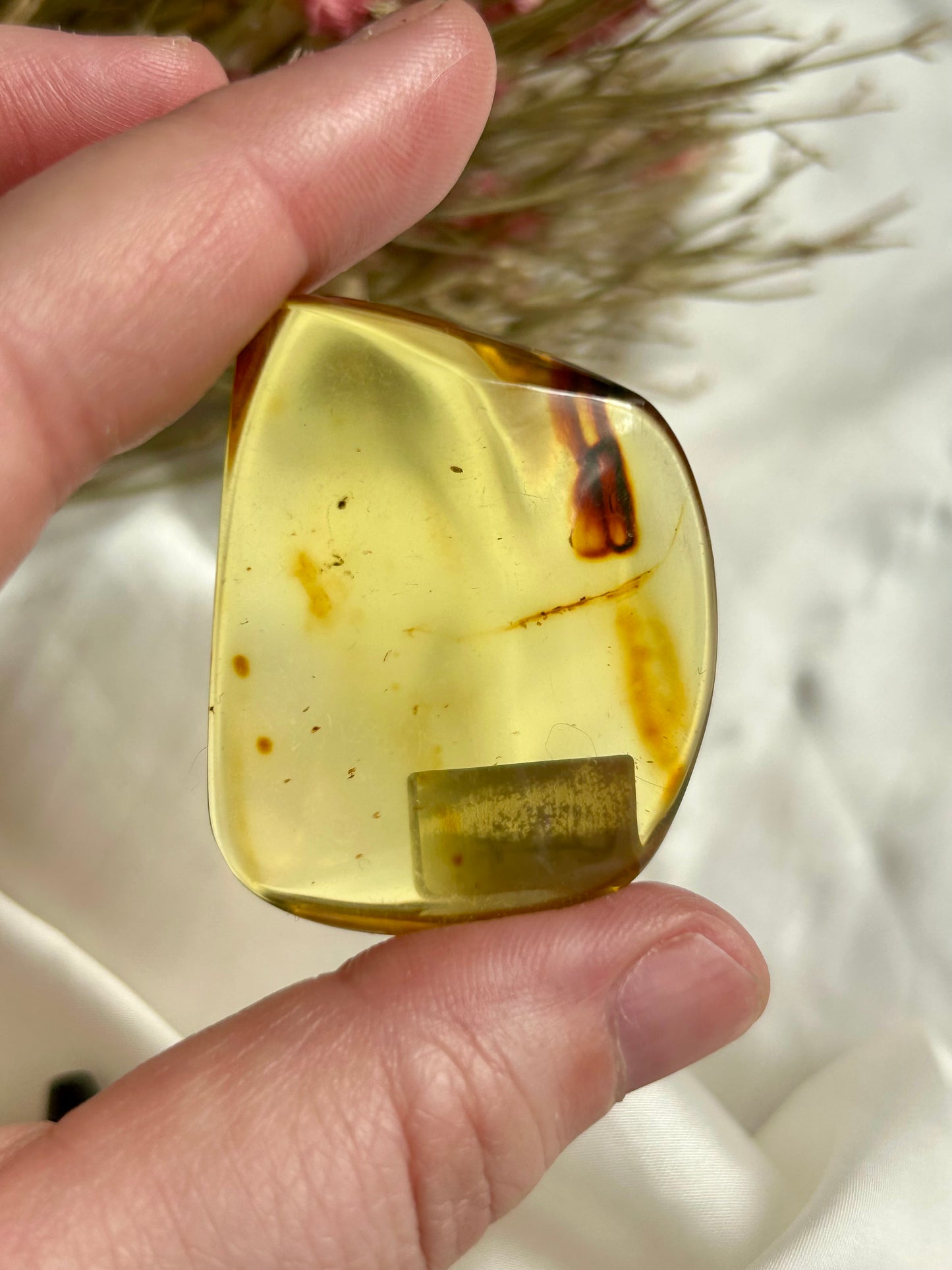 Colombian Amber