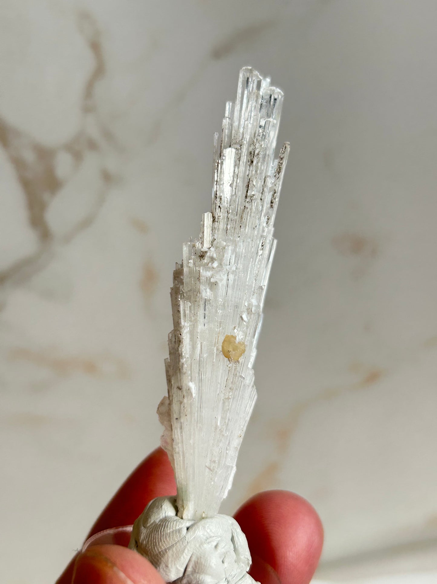 Listing Giuseppe_lupo85