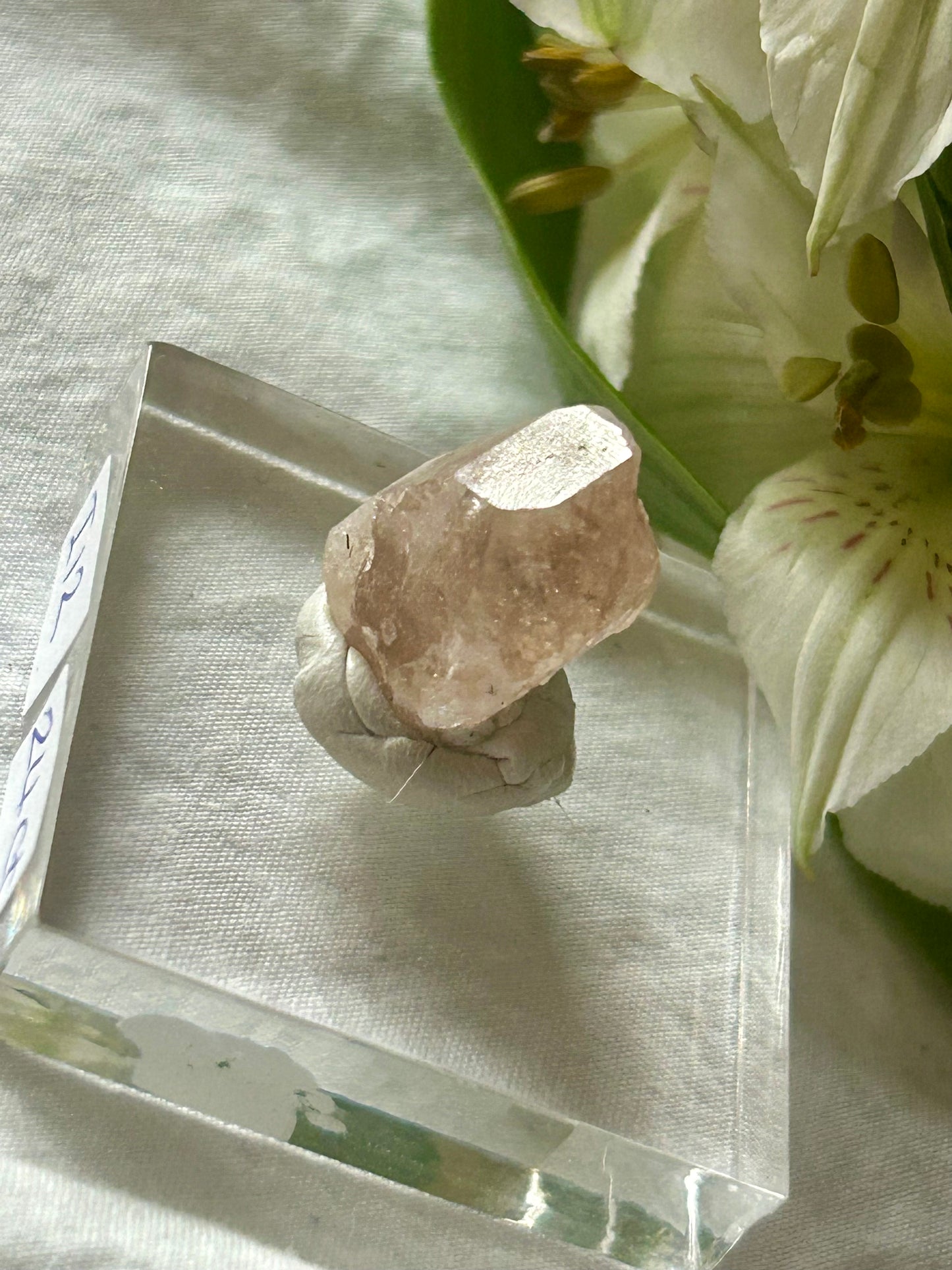 24 Carat Topaz from Pakistan