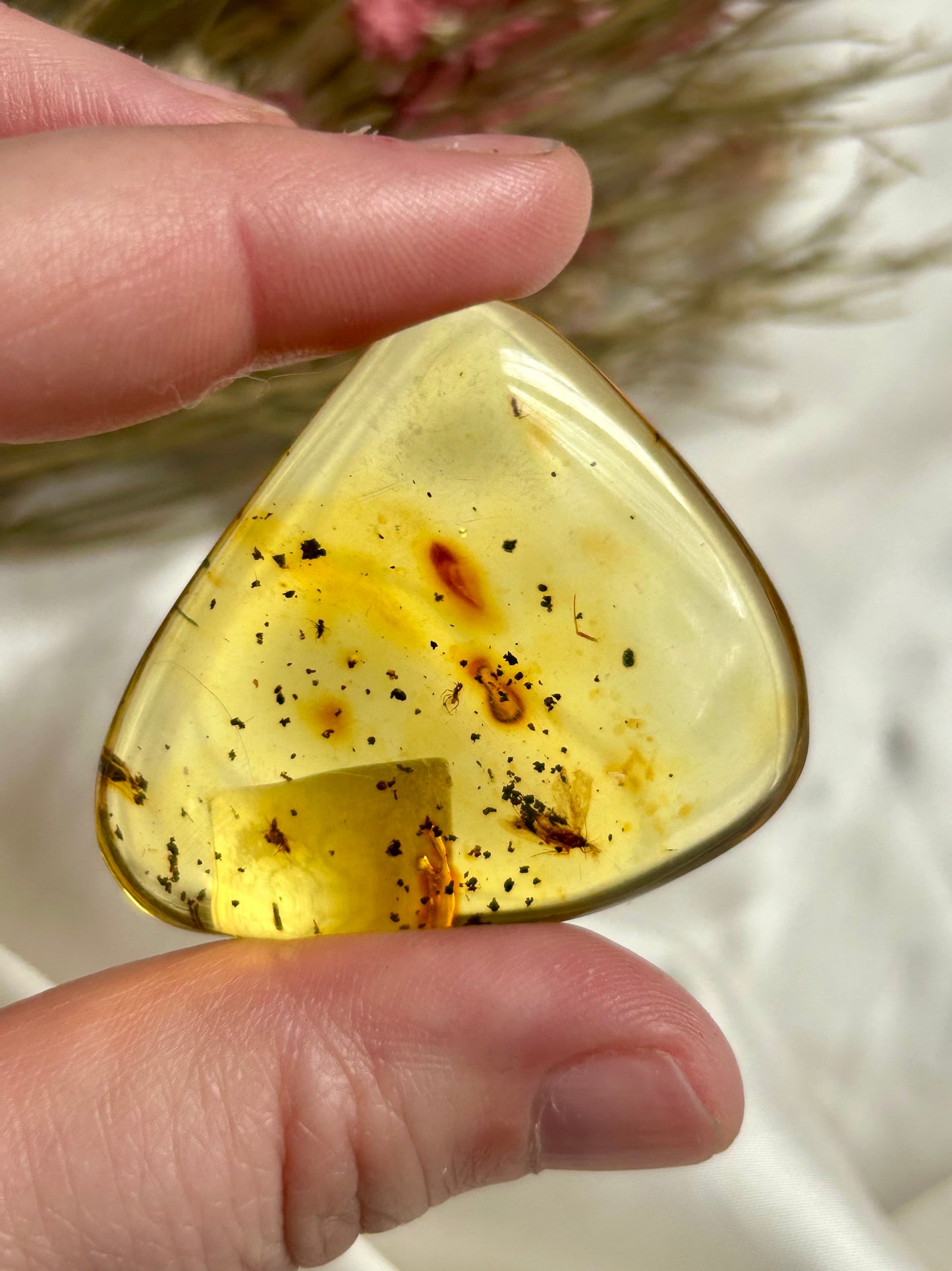 Colombian Amber