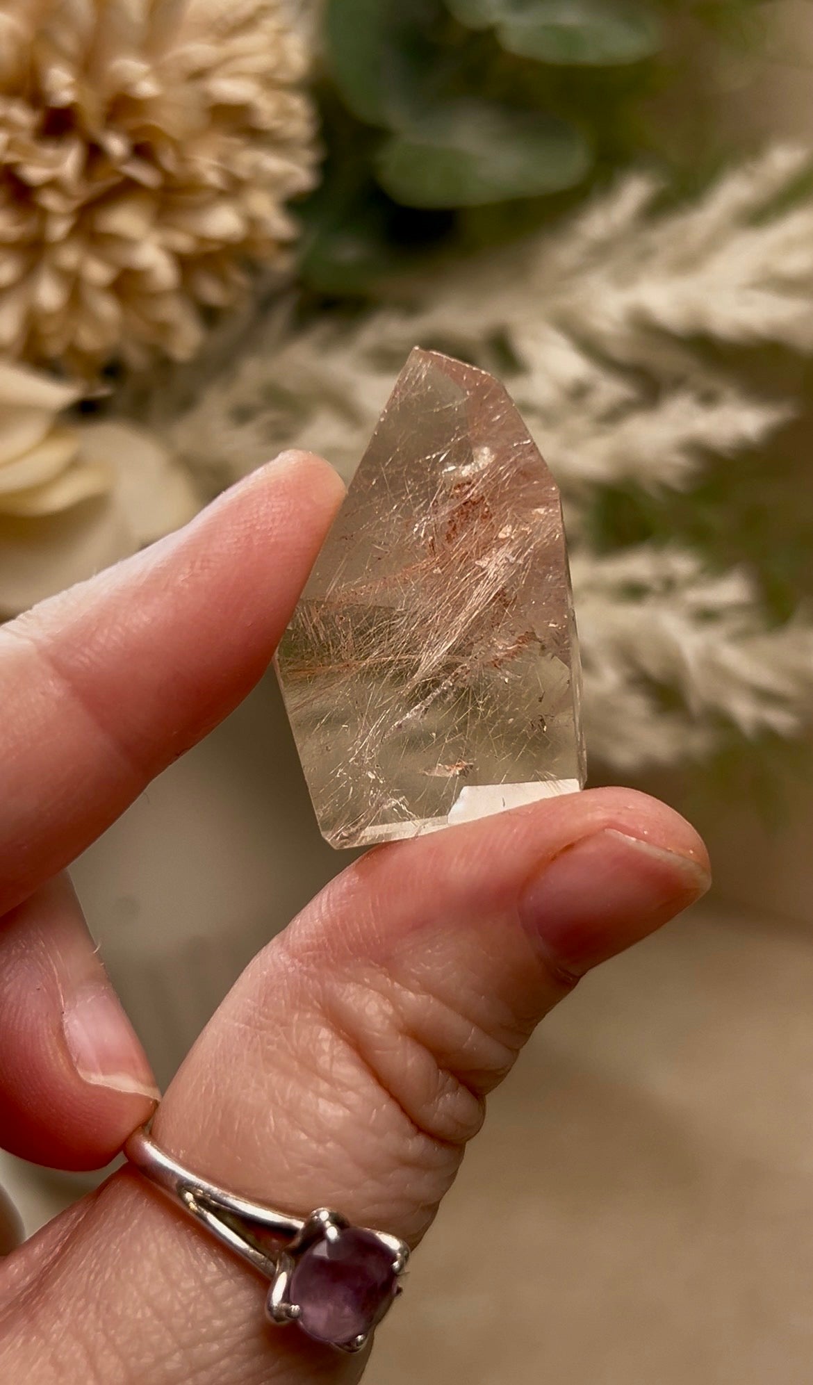Listing for grogu.goddess