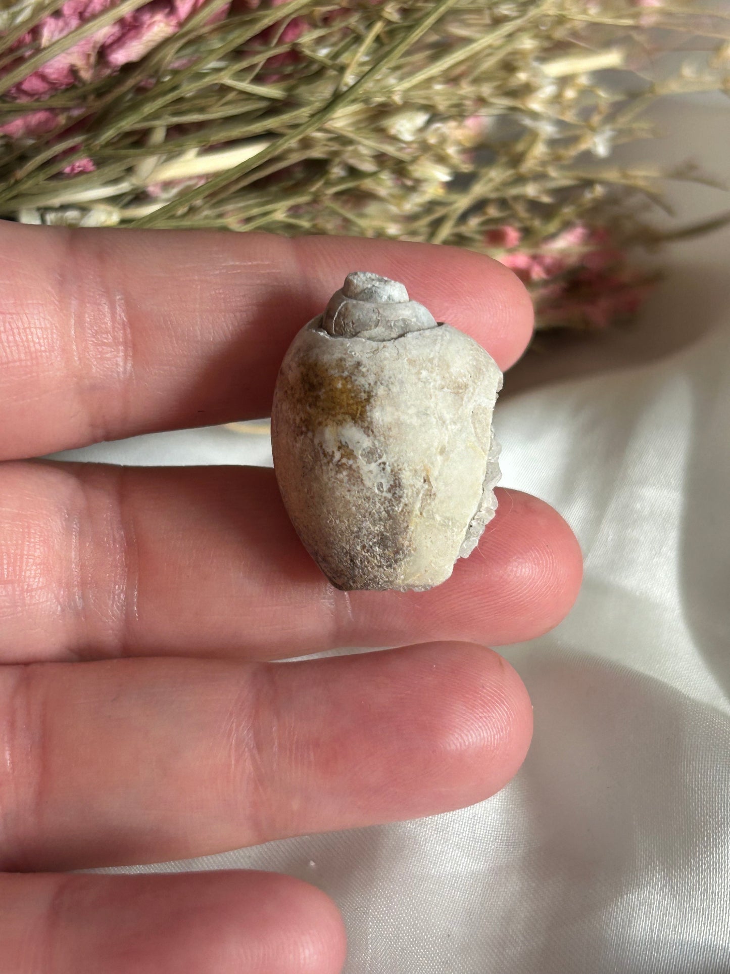 Spiralite