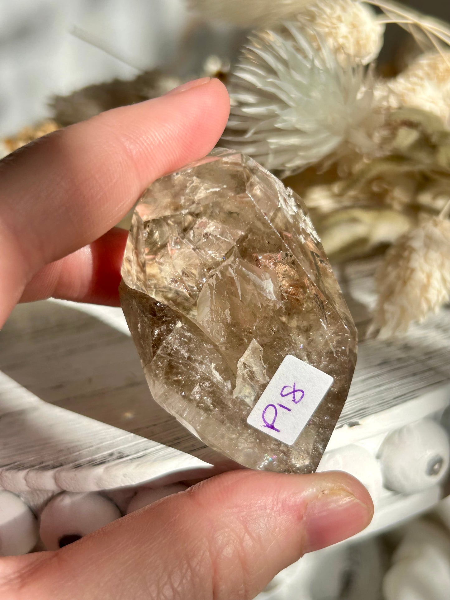 Polished Elestial Quartz DT – Ancient Wisdom Encased in Light