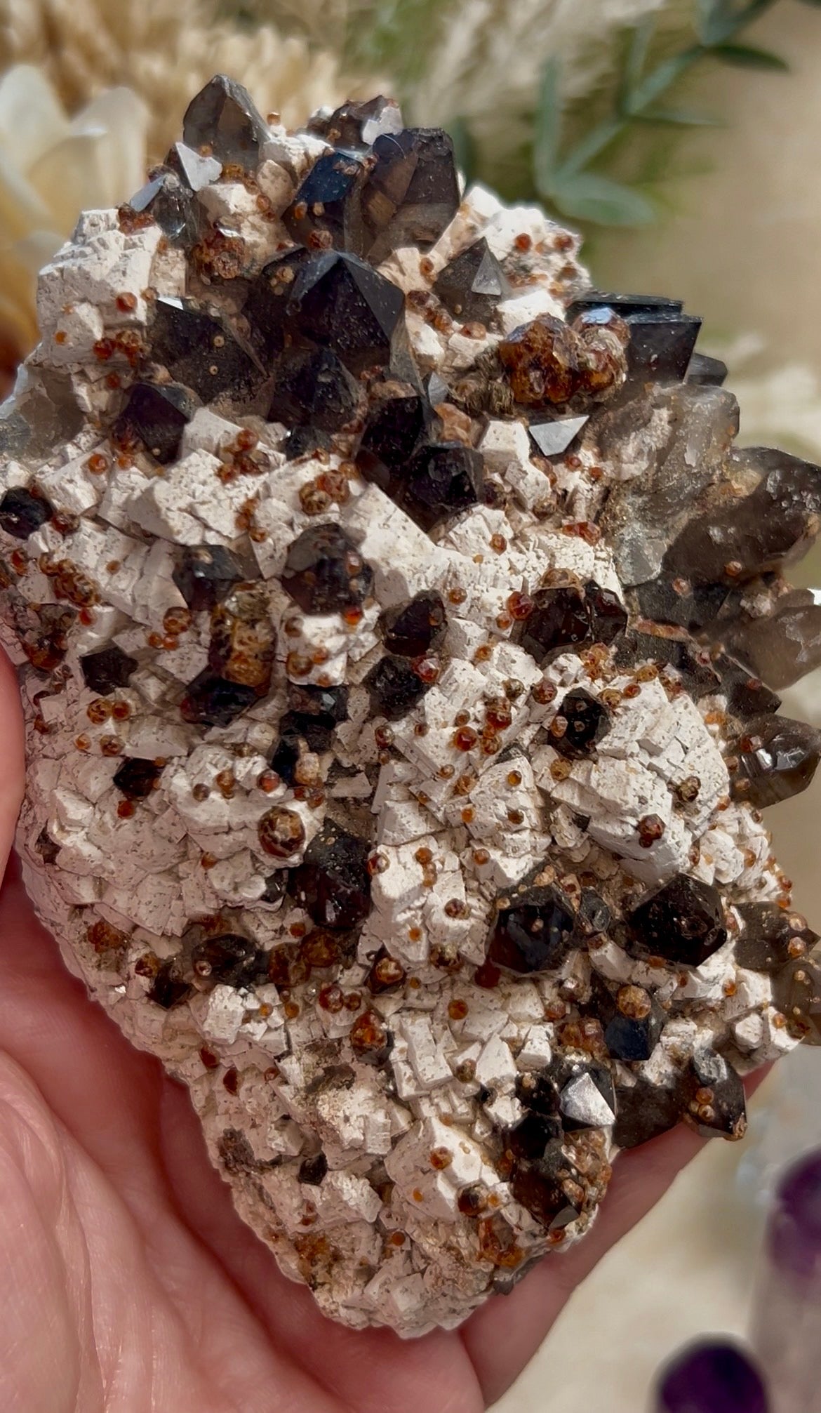 Listing for natalie_starsky