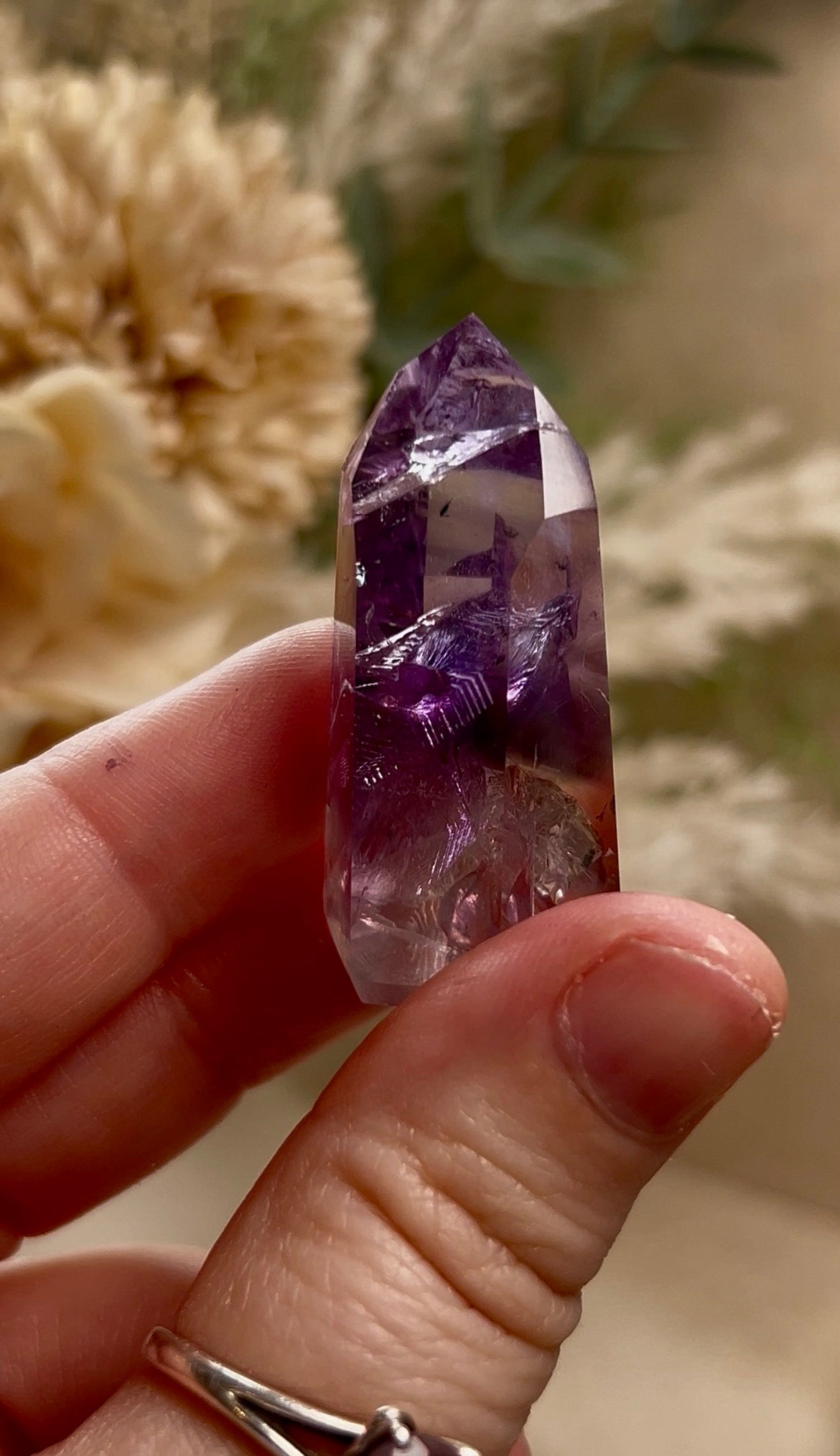 Listing for faunaraven