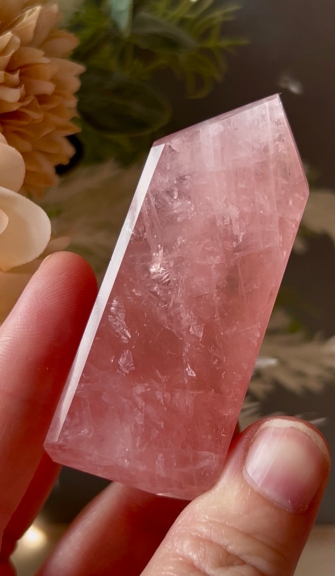 Listing for maymooncrystals
