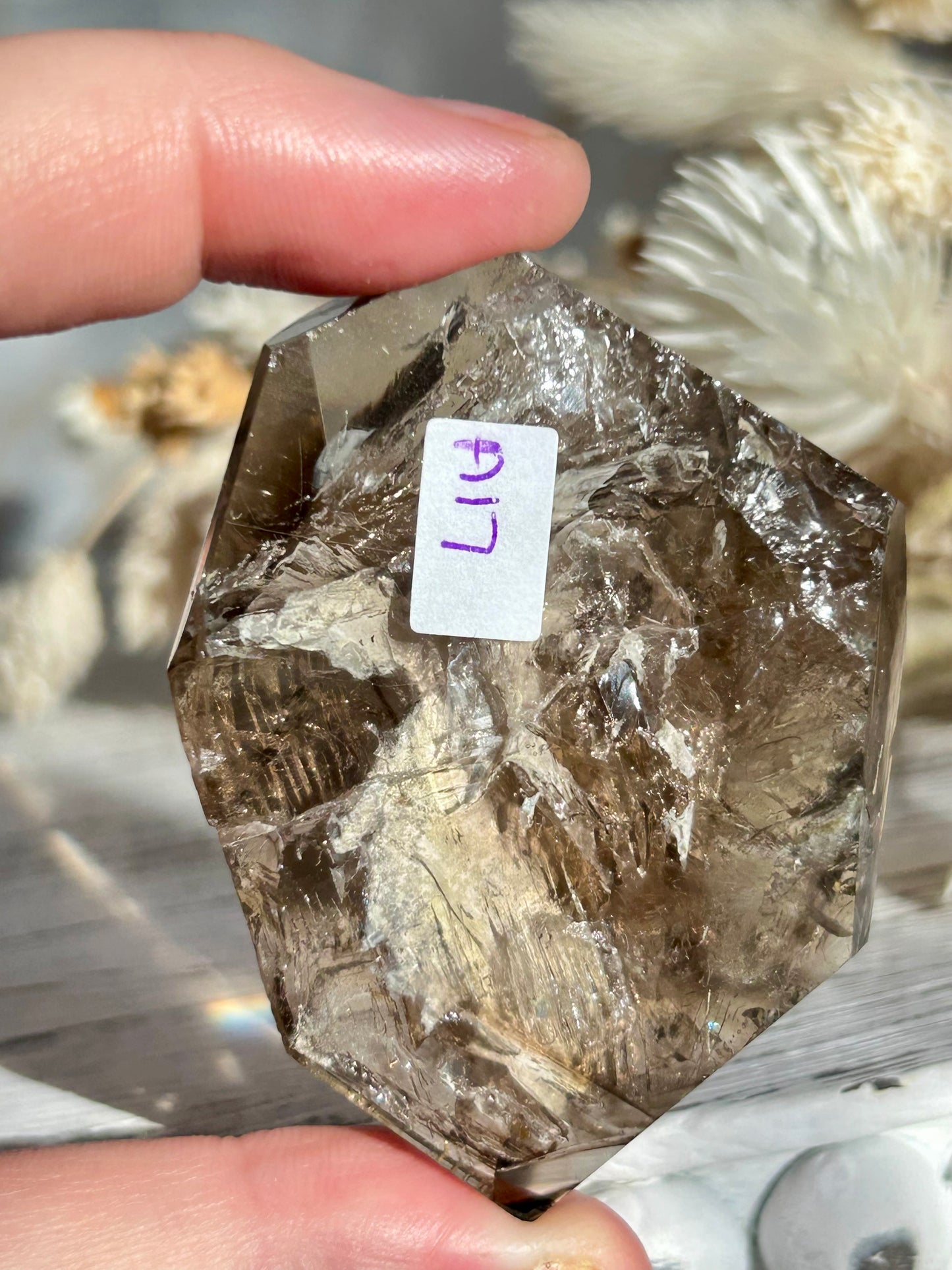 Polished Elestial Quartz – Ancient Wisdom Encased in Light