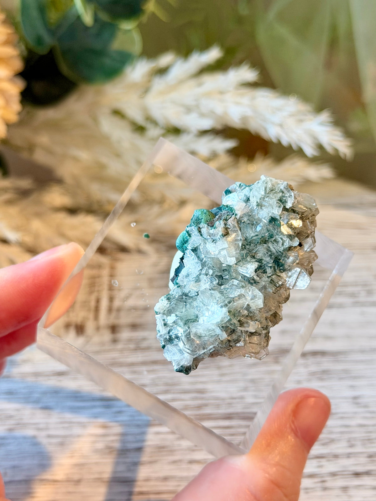 “Alien” Heulandite | Natural Mineral Specimen