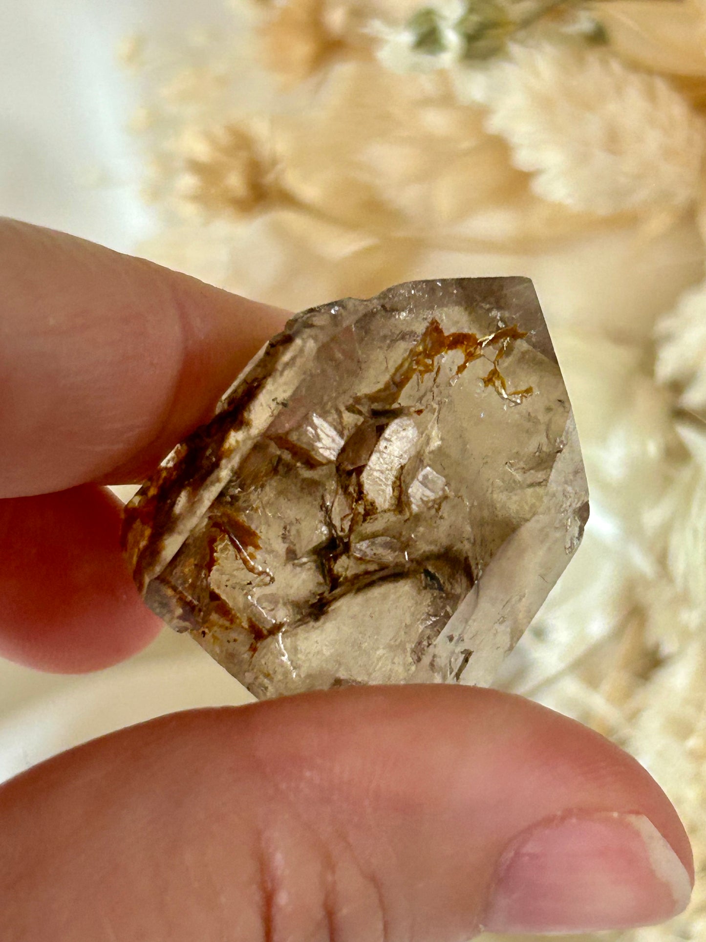 Polished Elestial Quartz – Ancient Wisdom Encased in Light