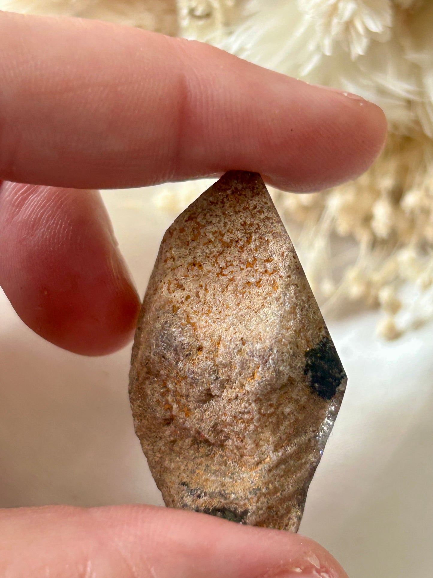 Lodolite Garden Quartz Freeform | Earth-Inspired Clarity and Inner Vision