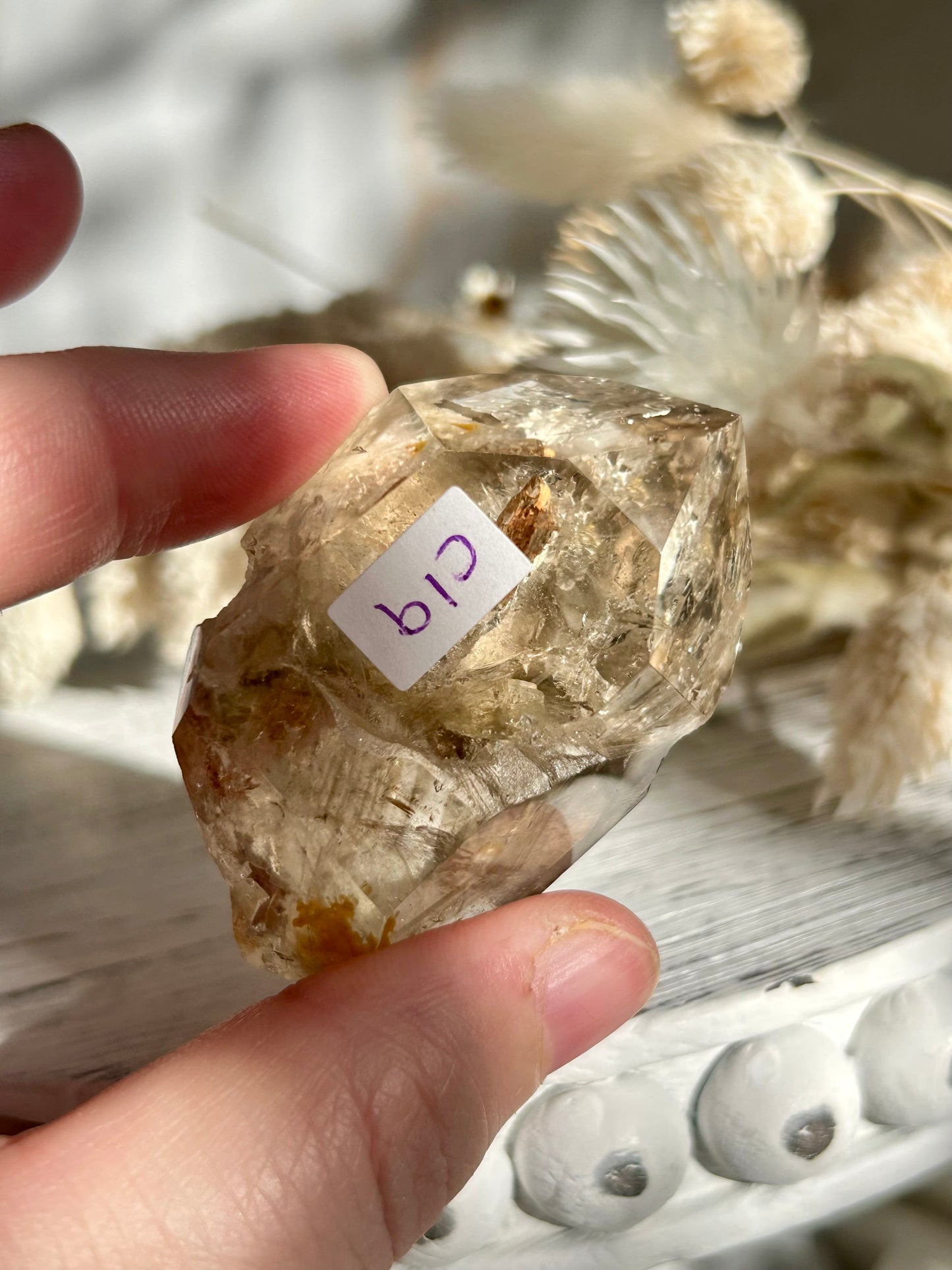 Polished Elestial Quartz DT – Ancient Wisdom Encased in Light