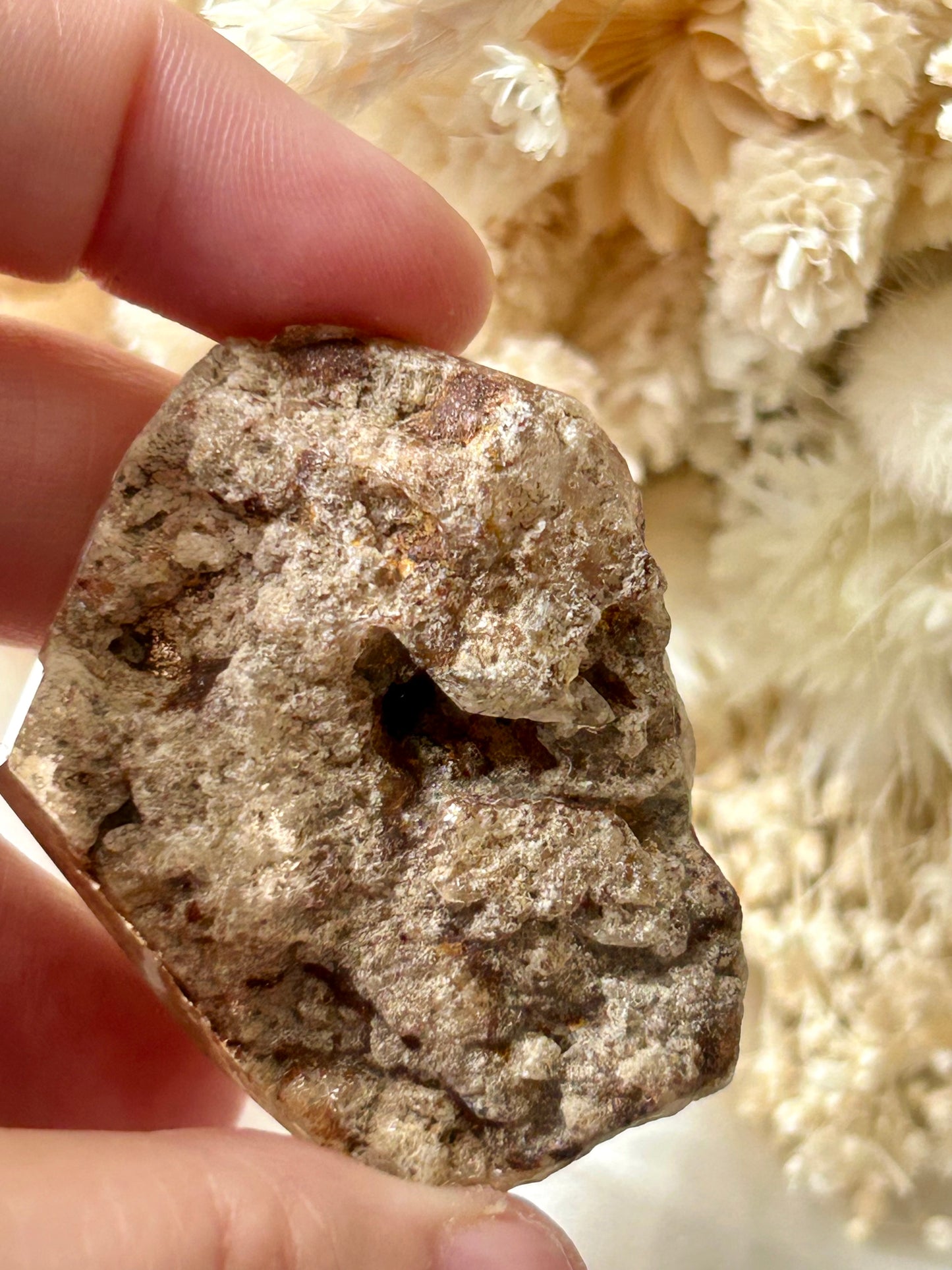 Lodolite Garden Quartz Freeform | Earth-Inspired Clarity and Inner Vision