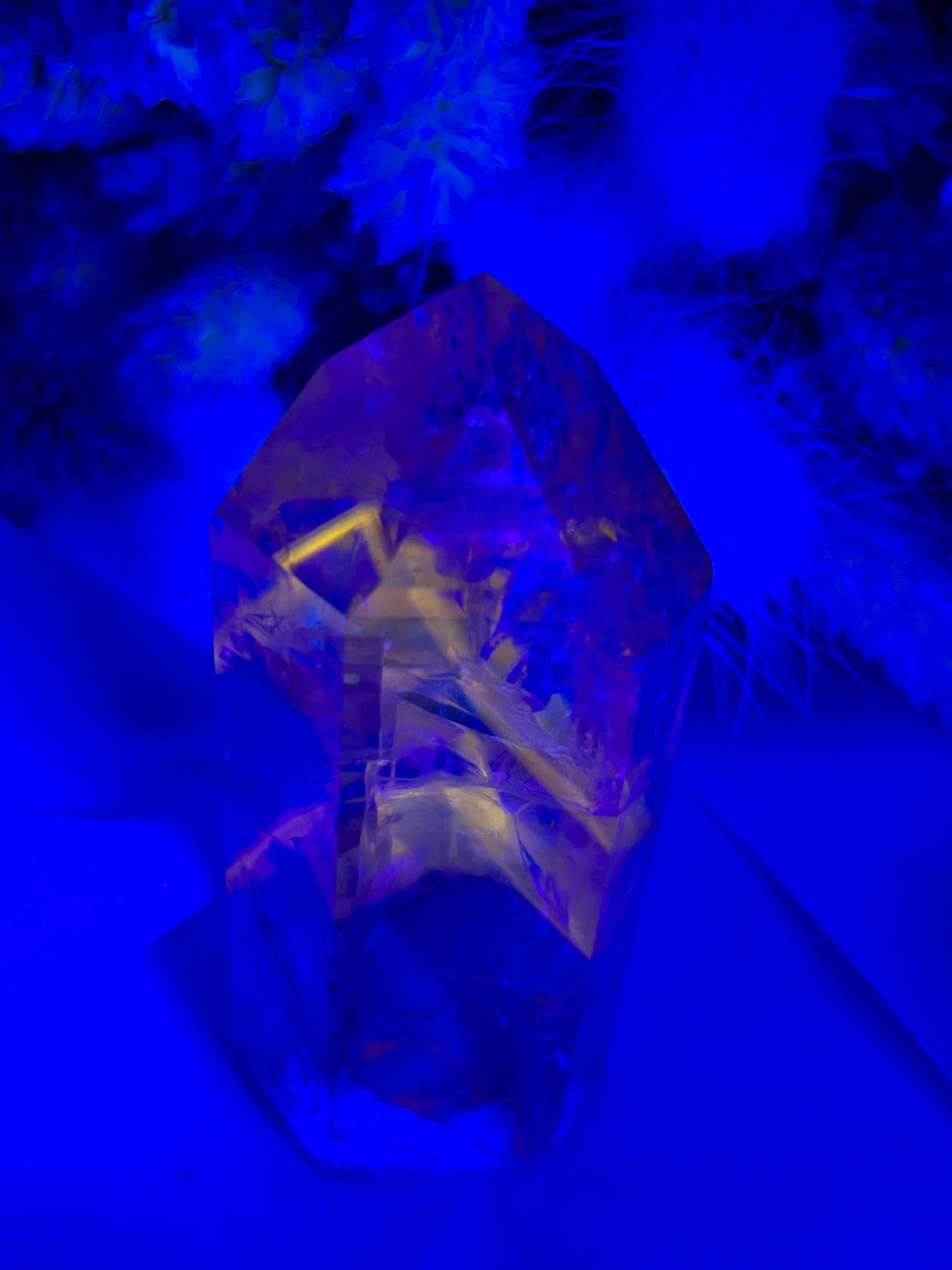 “Powellite” Amethyst | UV Reactive Growth, Spiritual Focus & Inner Illumination