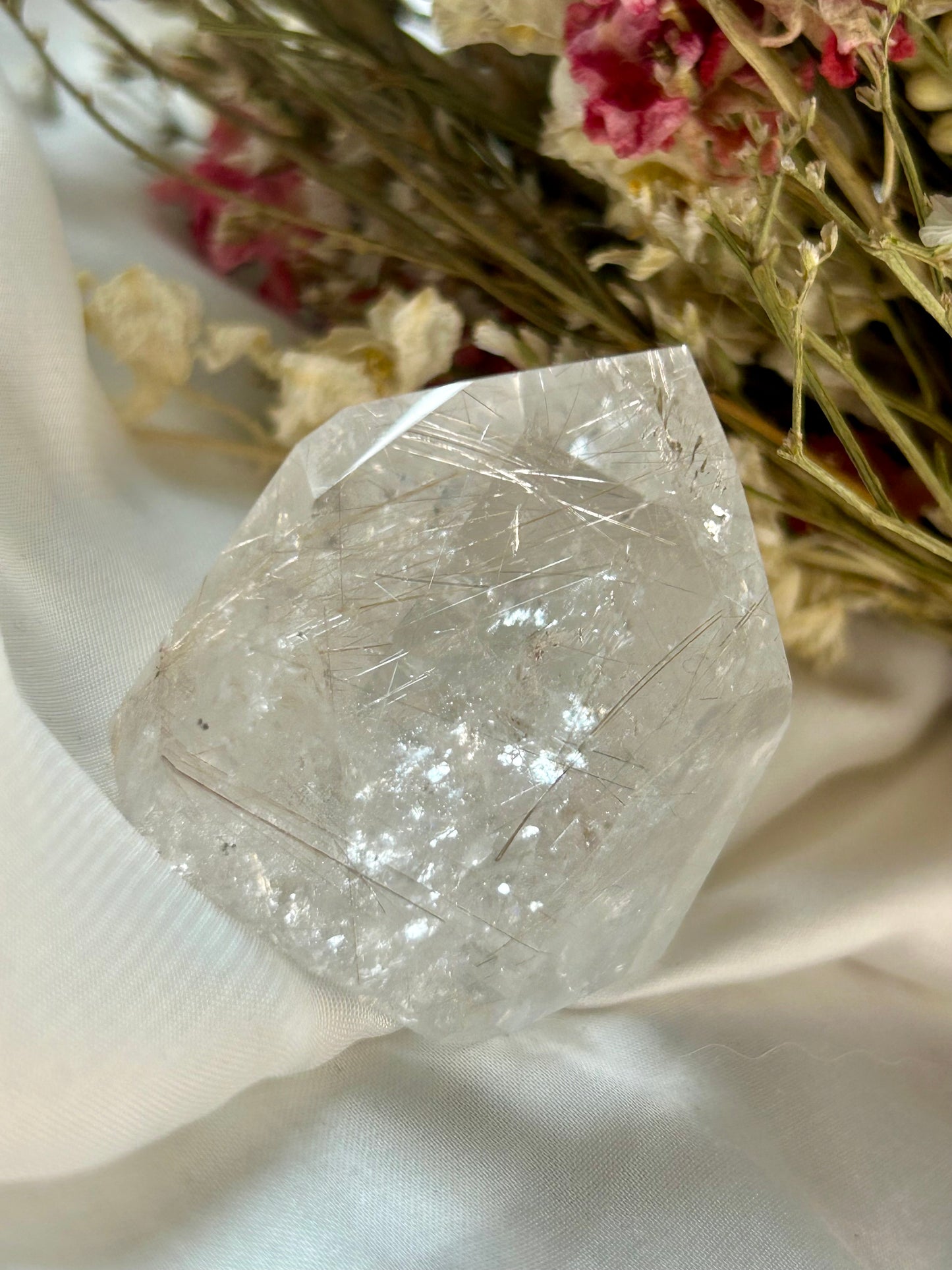 Listing for nicolecheesman