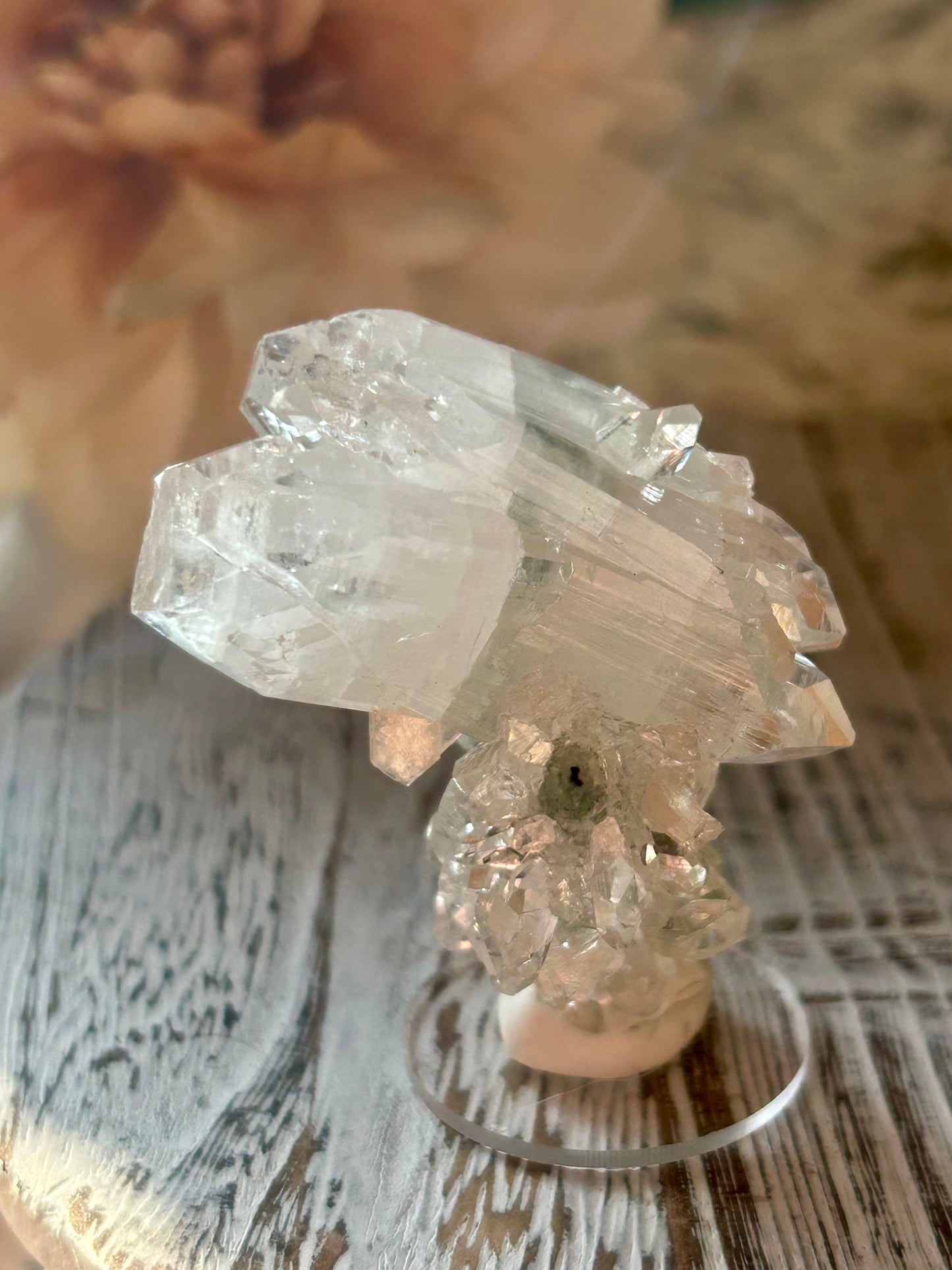 High Grade Apophyllite Stalactite