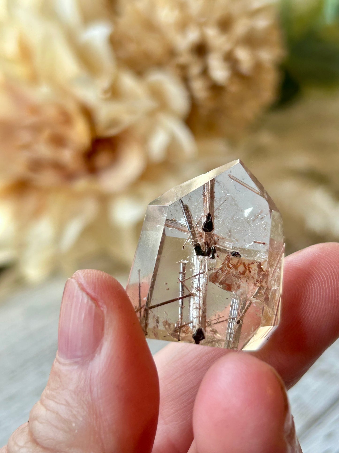 High grade Mini Rutilated Quartz with clear natural Quartz and fine Rutile needle inclusions.