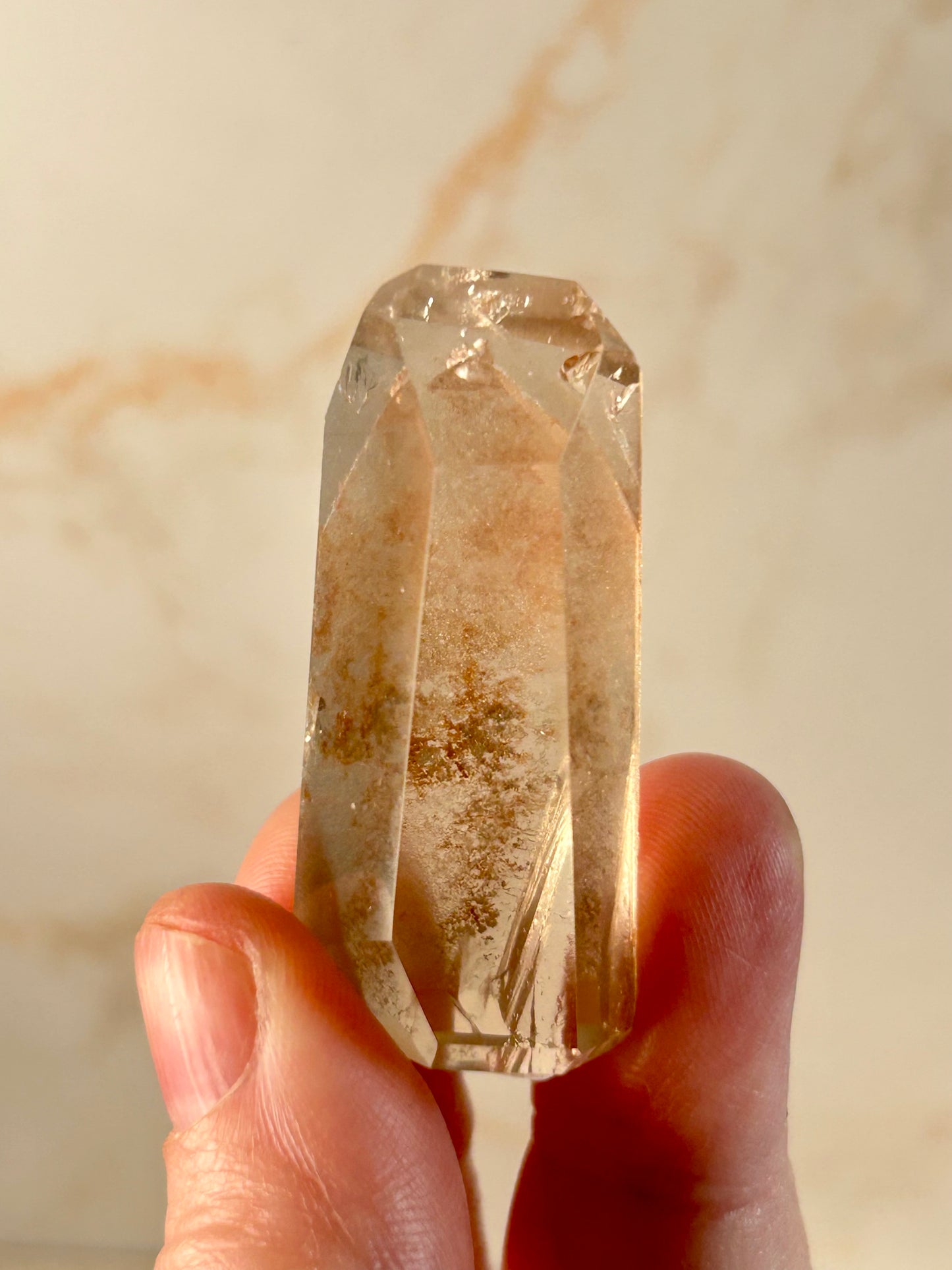 Phantom Lodolite Crystal | Garden Quartz with Inner Worlds