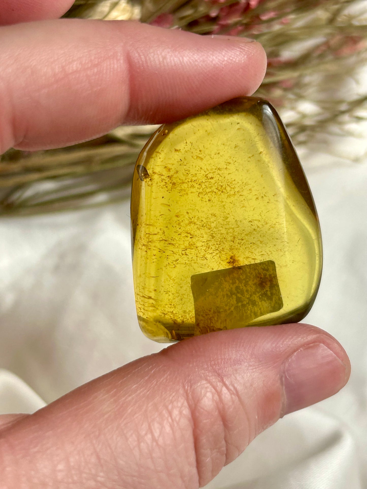Colombian Amber