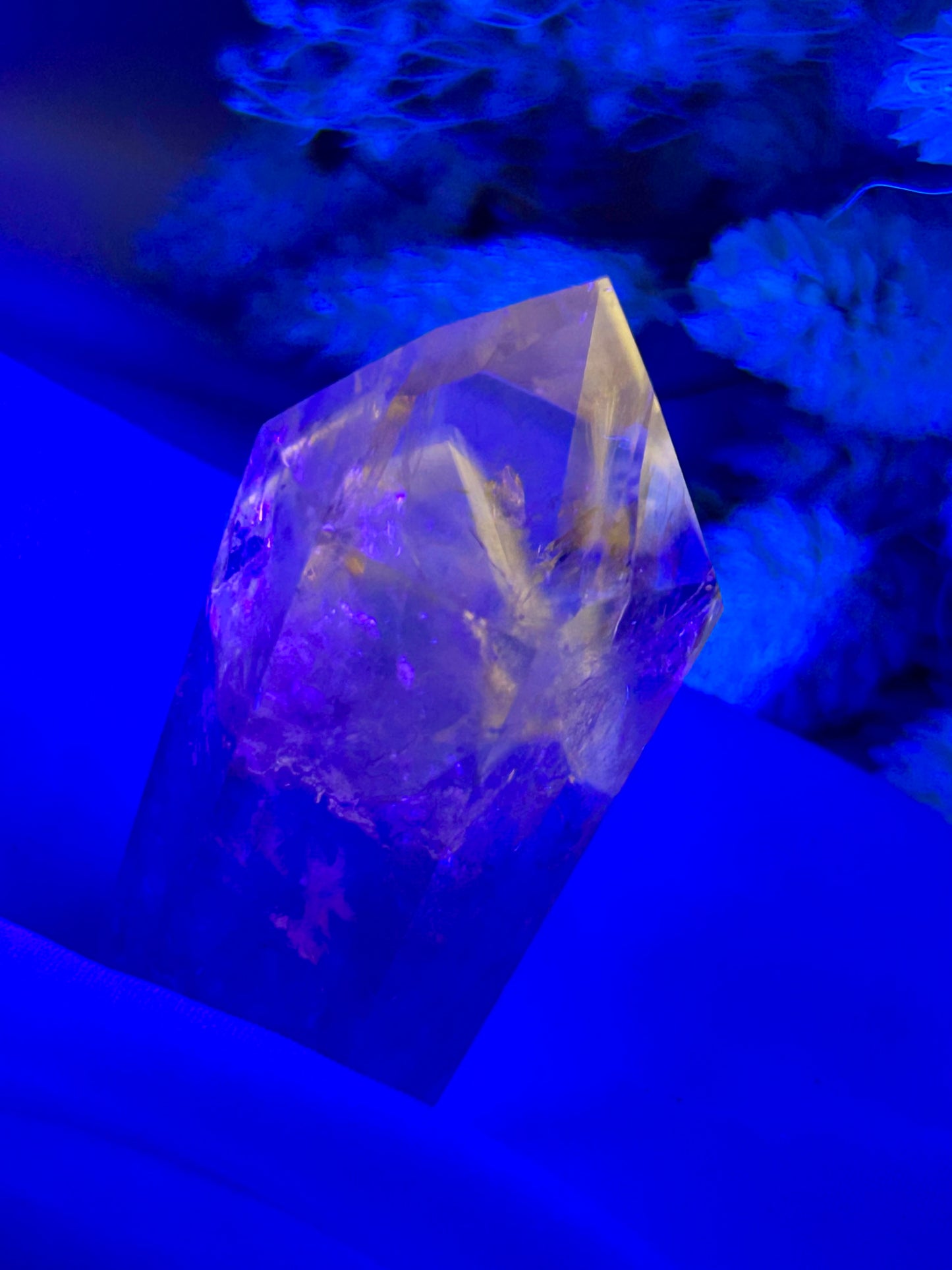 “Powellite” Amethyst | UV Reactive Growth, Spiritual Focus & Inner Illumination