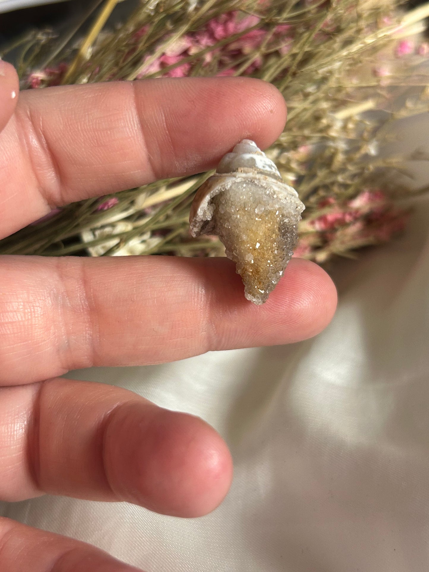 Spiralite