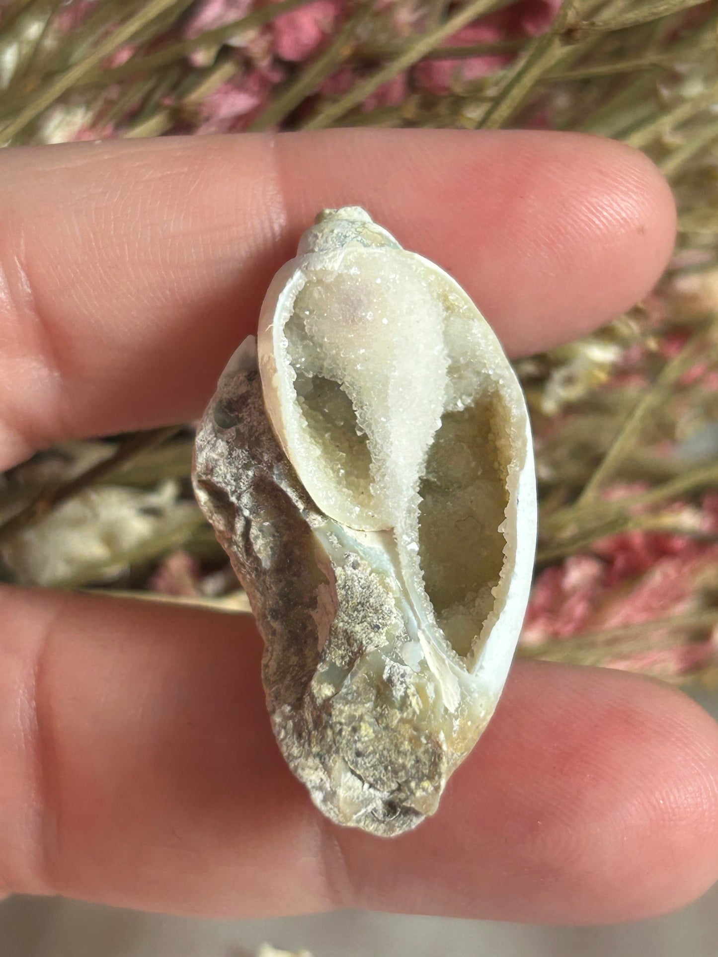 Spiralite