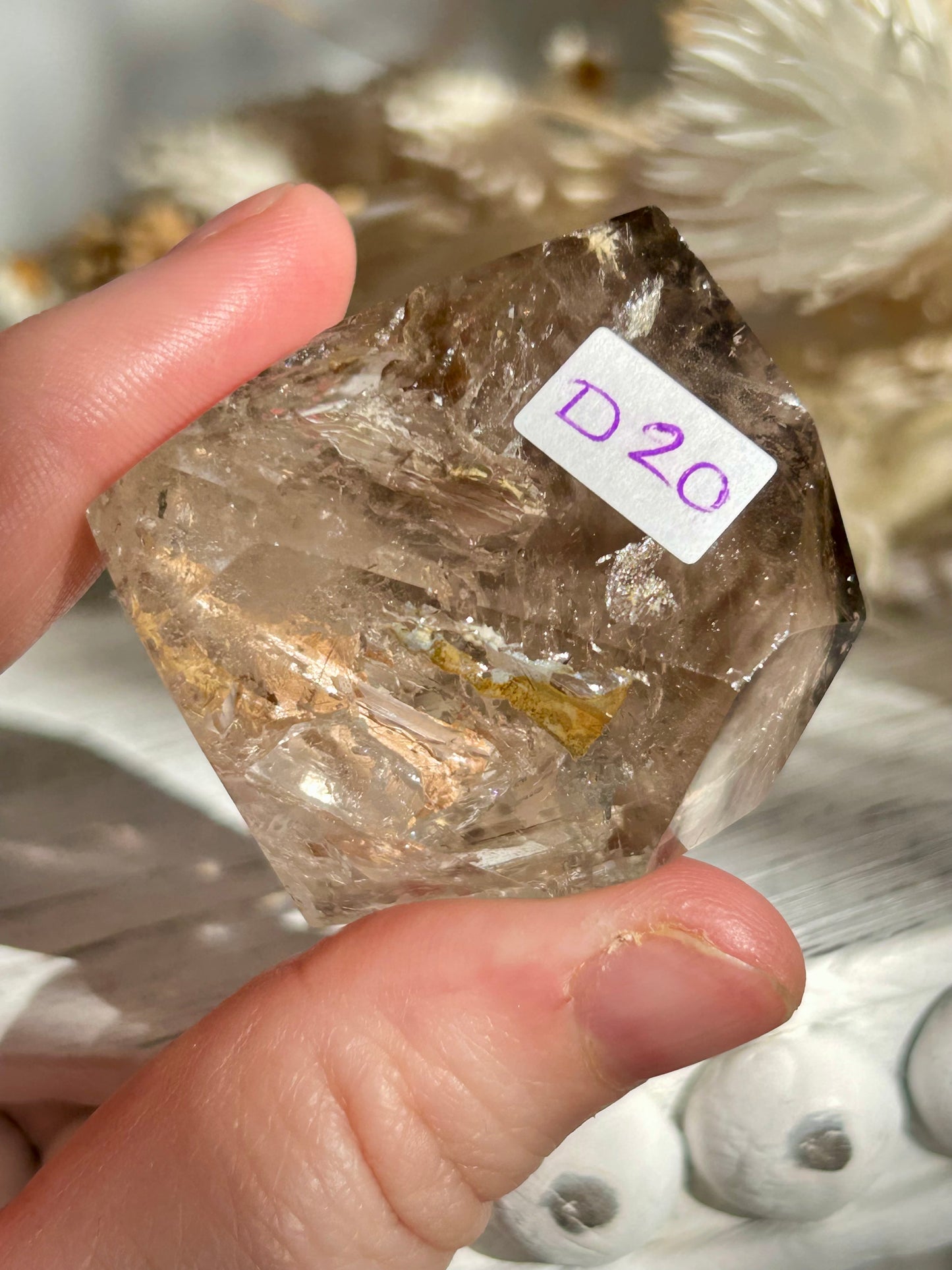 Polished Elestial Quartz DT – Ancient Wisdom Encased in Light