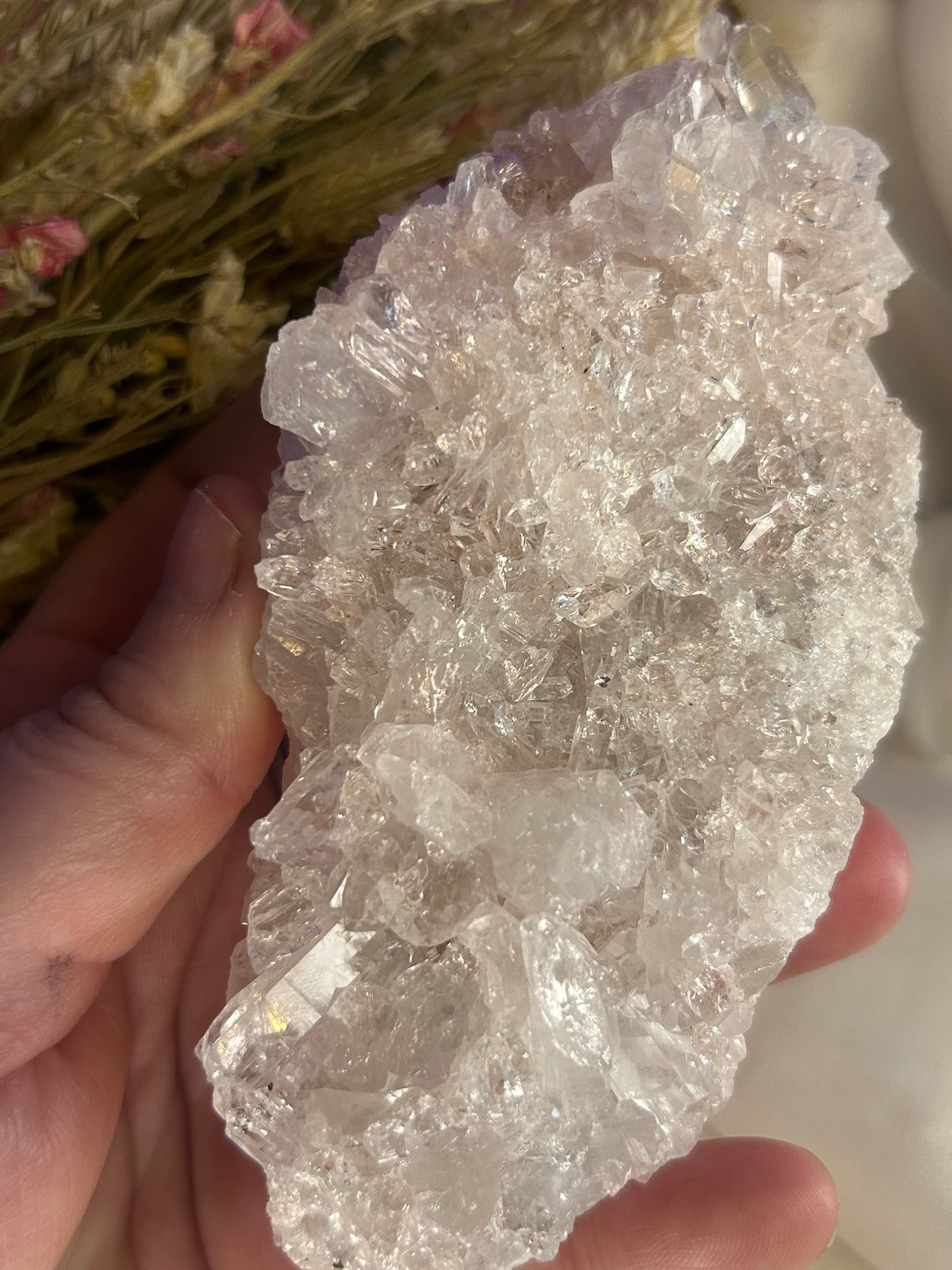 Sacred Pink Lemurian