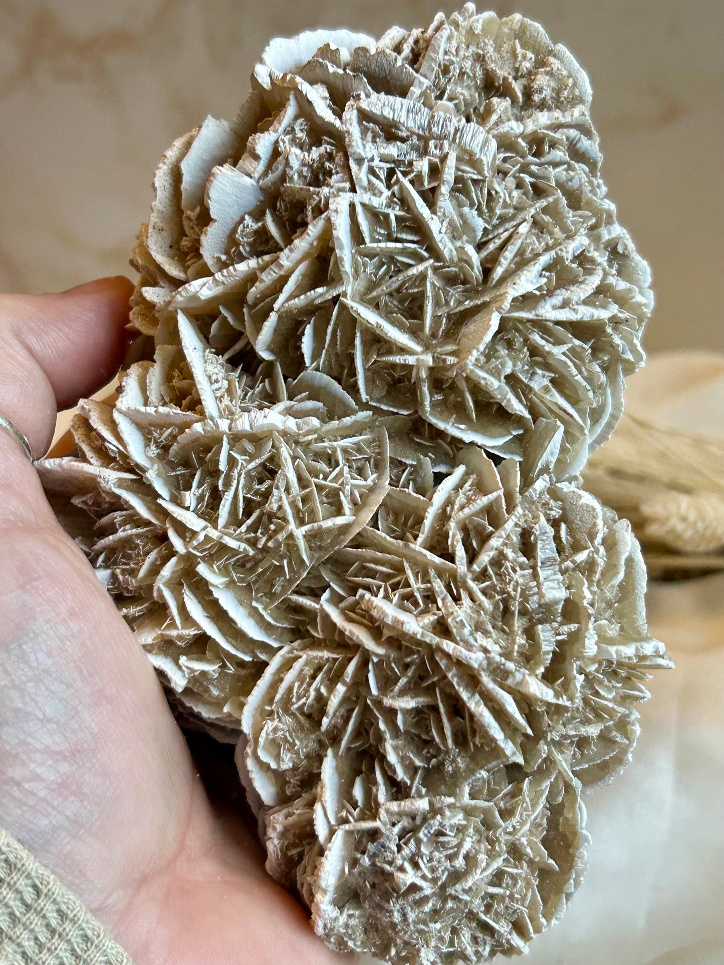 Desert Rose Crystal (Gypsum Rosette) – Natural Grounding & Clarity Stone