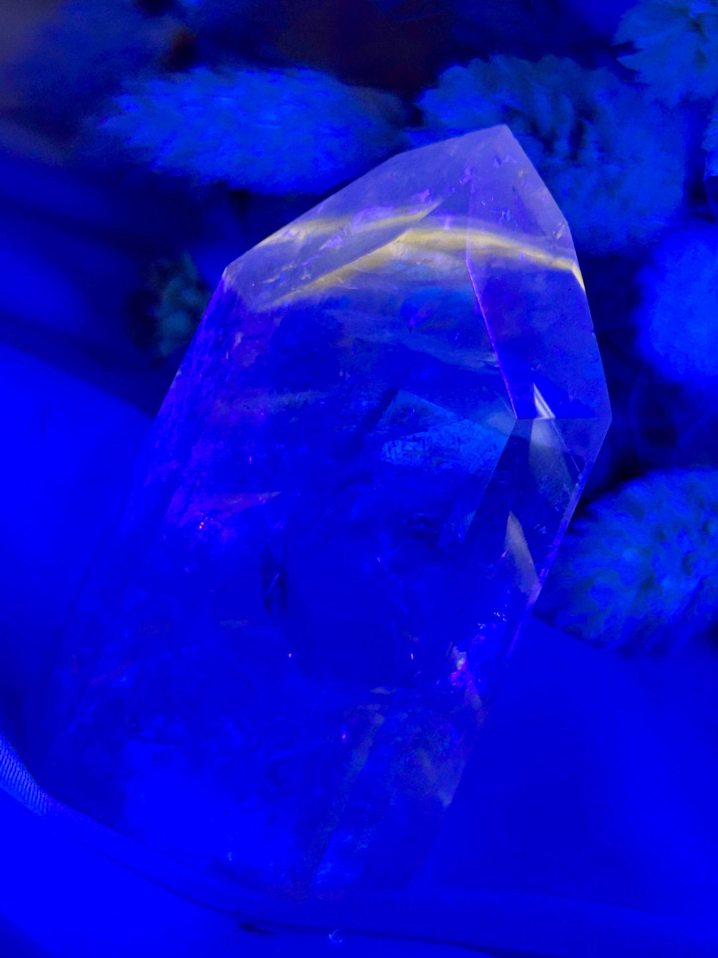 “Powellite” Amethyst | UV Reactive Growth, Spiritual Focus & Inner Illumination