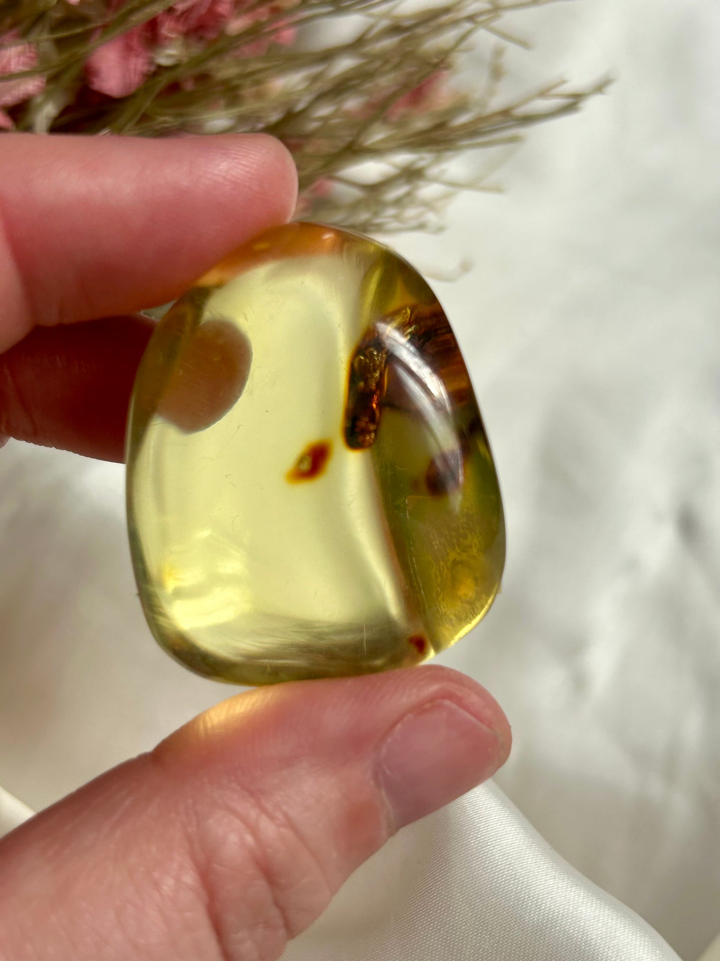 Colombian Amber