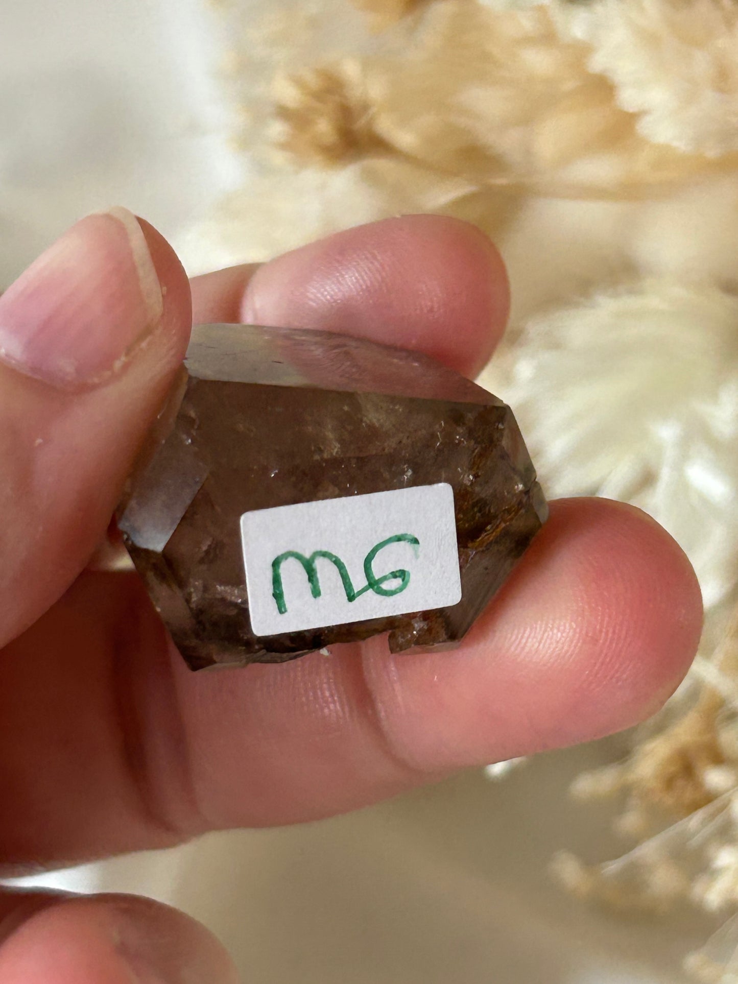 Polished Elestial Quartz – Ancient Wisdom Encased in Light