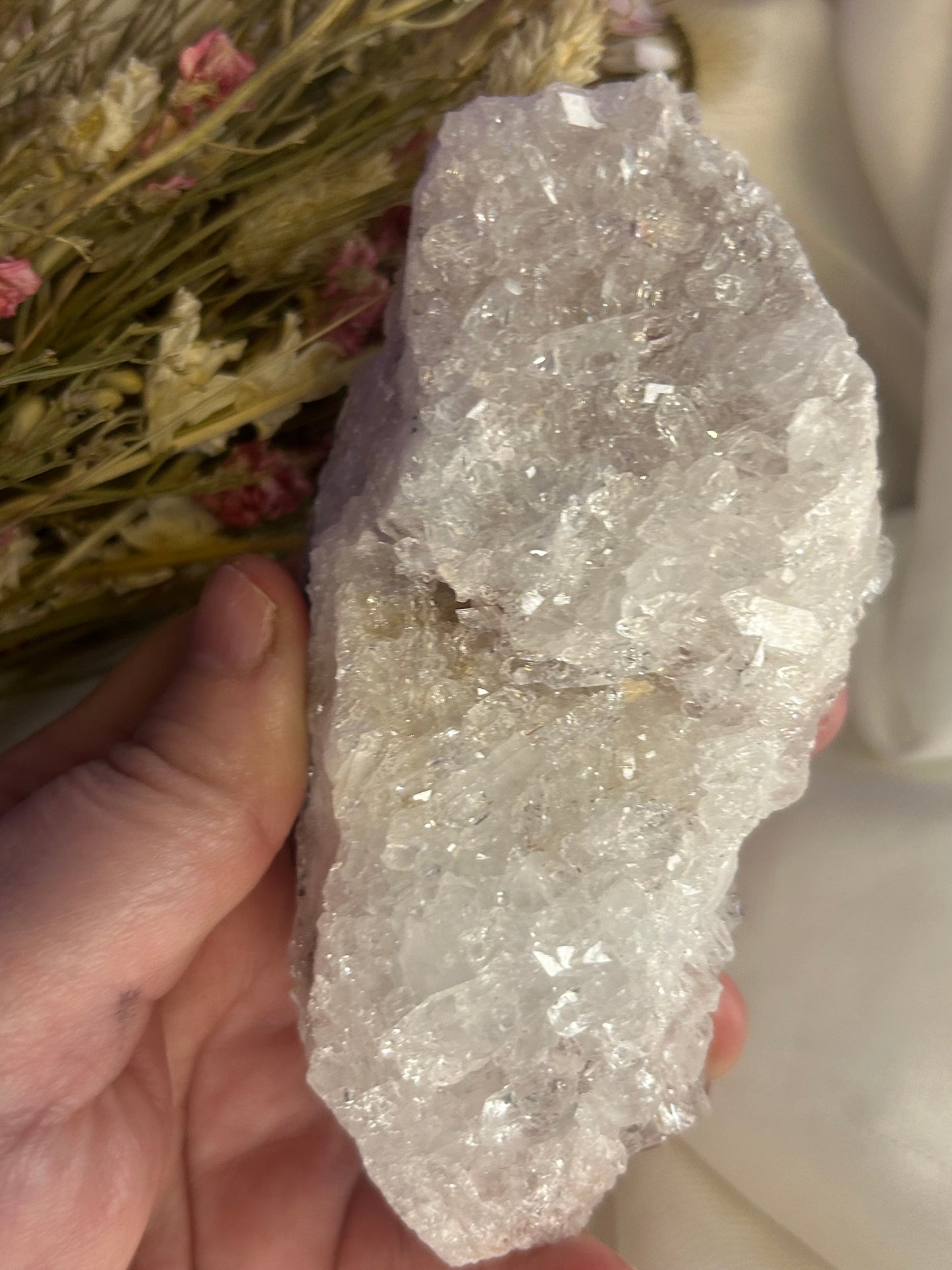 Sacred Pink Lemurian