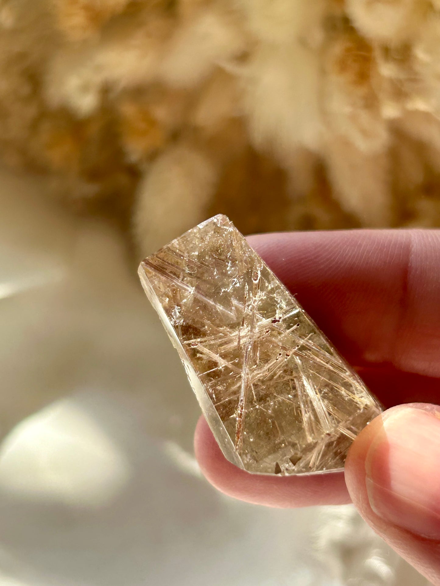 Semi polished Rutile Freeform
