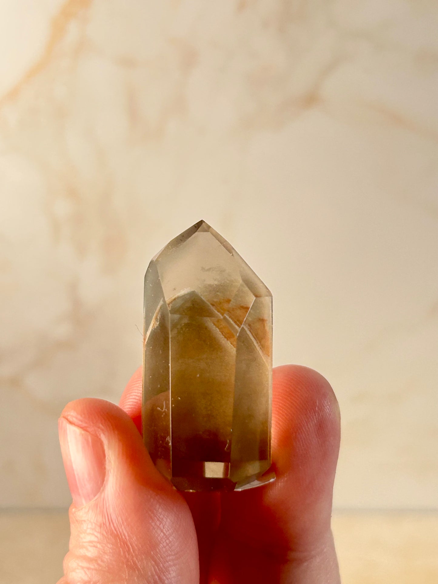 Phantom Lodolite Crystal | Garden Quartz with Inner Worlds