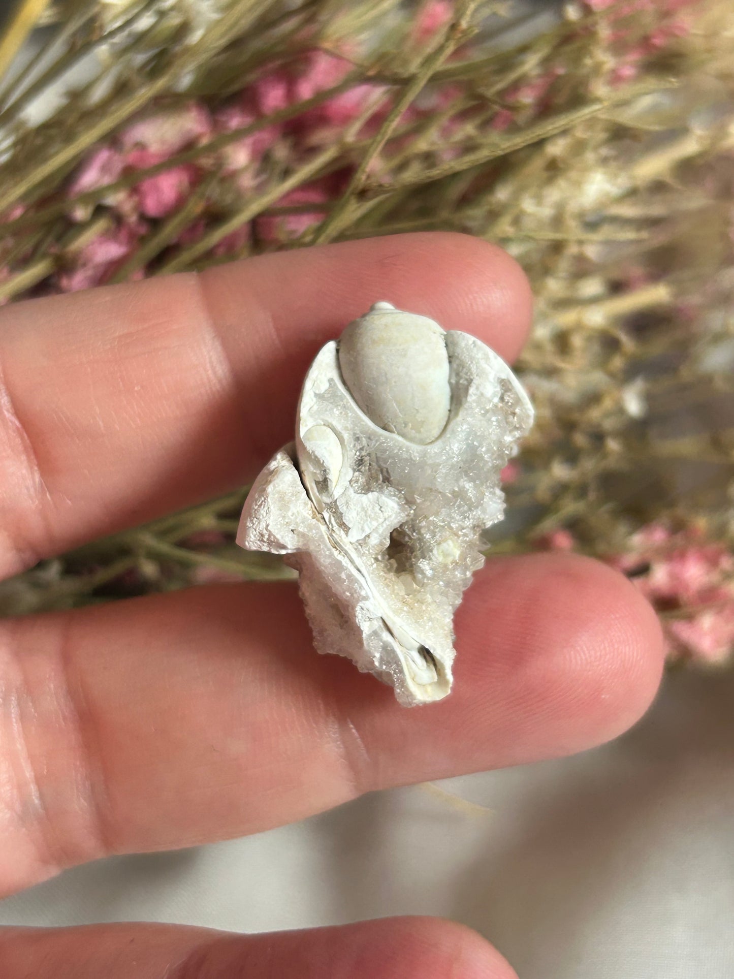 Spiralite